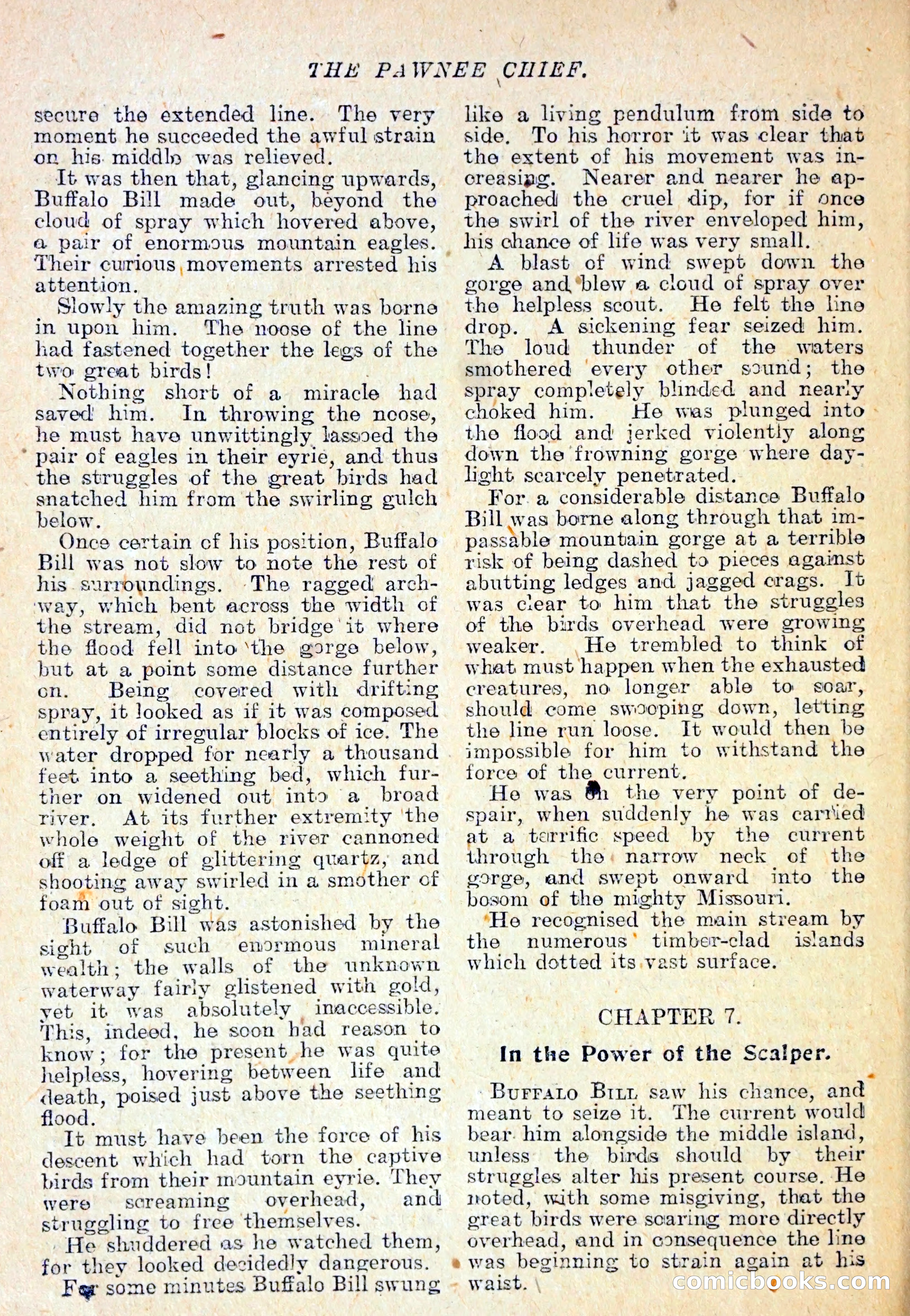 The Pawnee Chief — page 25 of 37