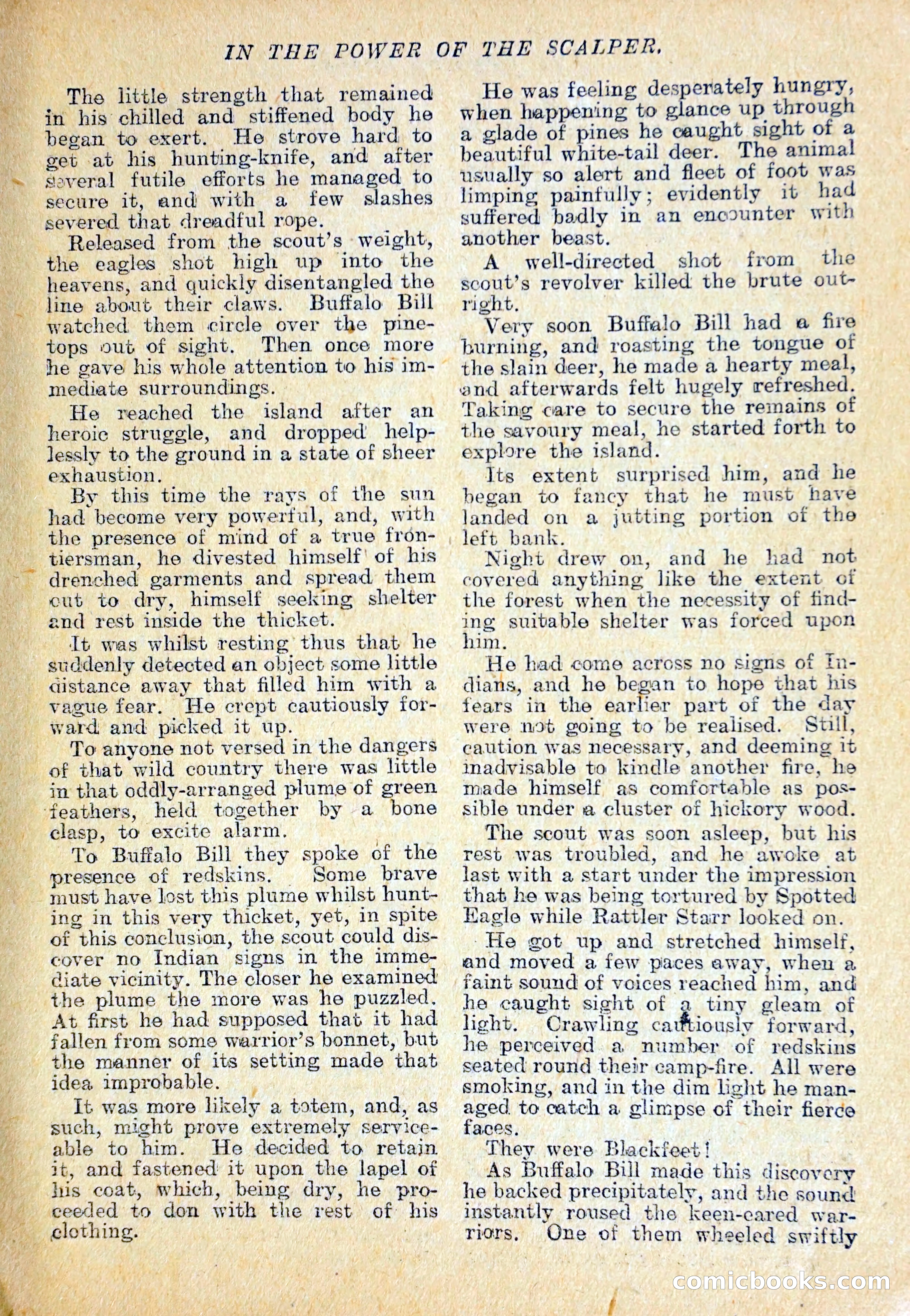 The Pawnee Chief — page 26 of 37
