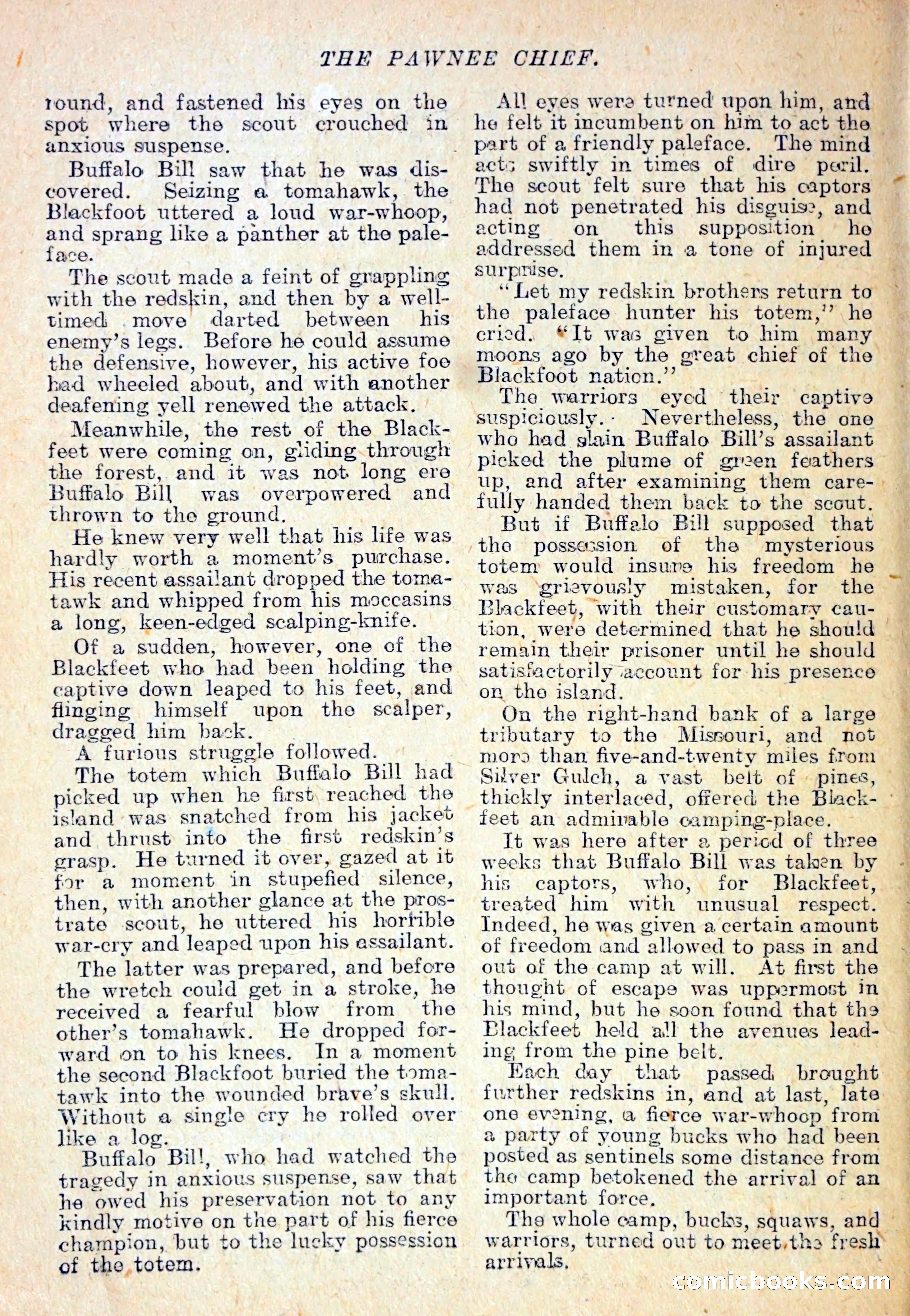 The Pawnee Chief — page 27 of 37