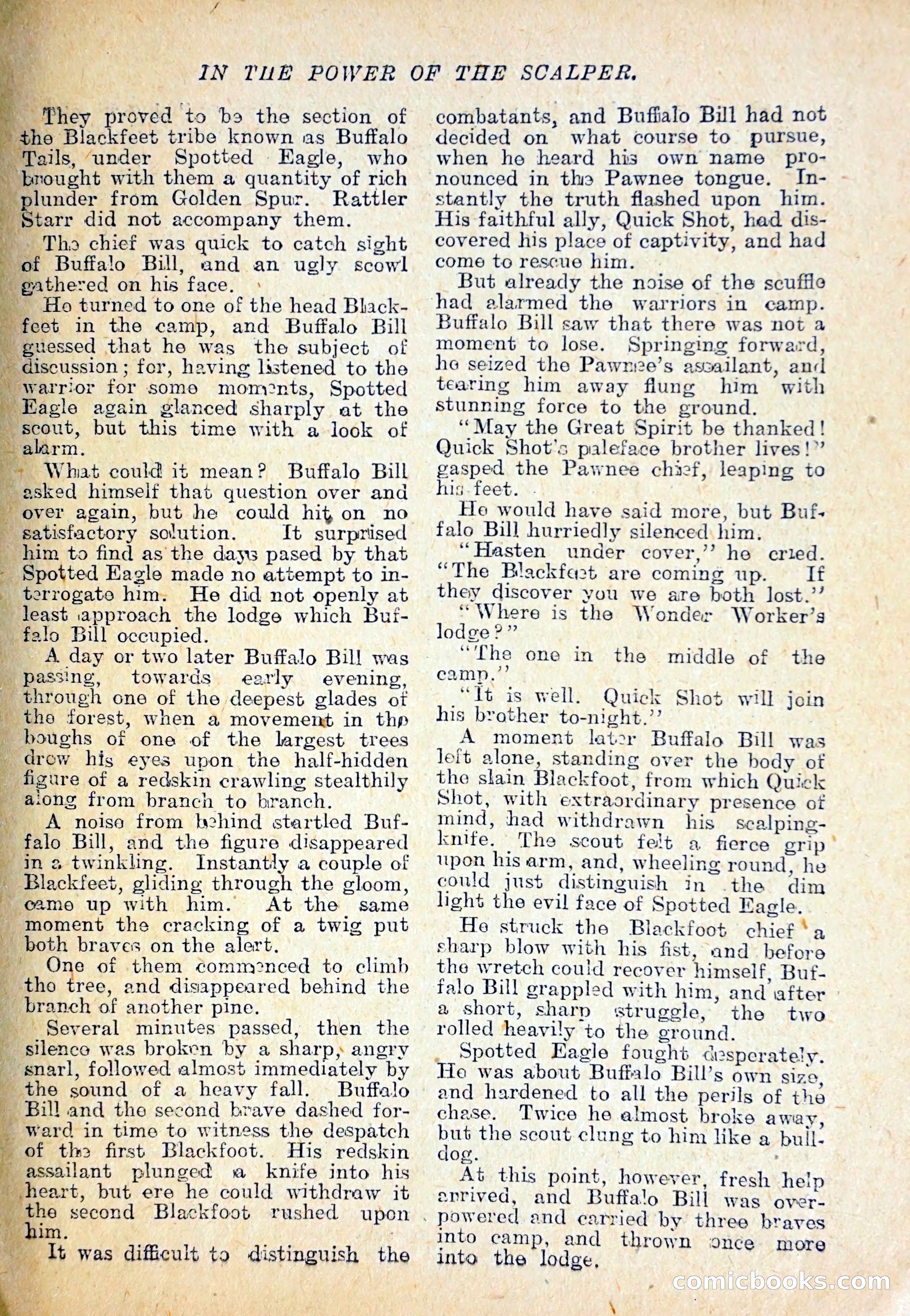 The Pawnee Chief — page 28 of 37