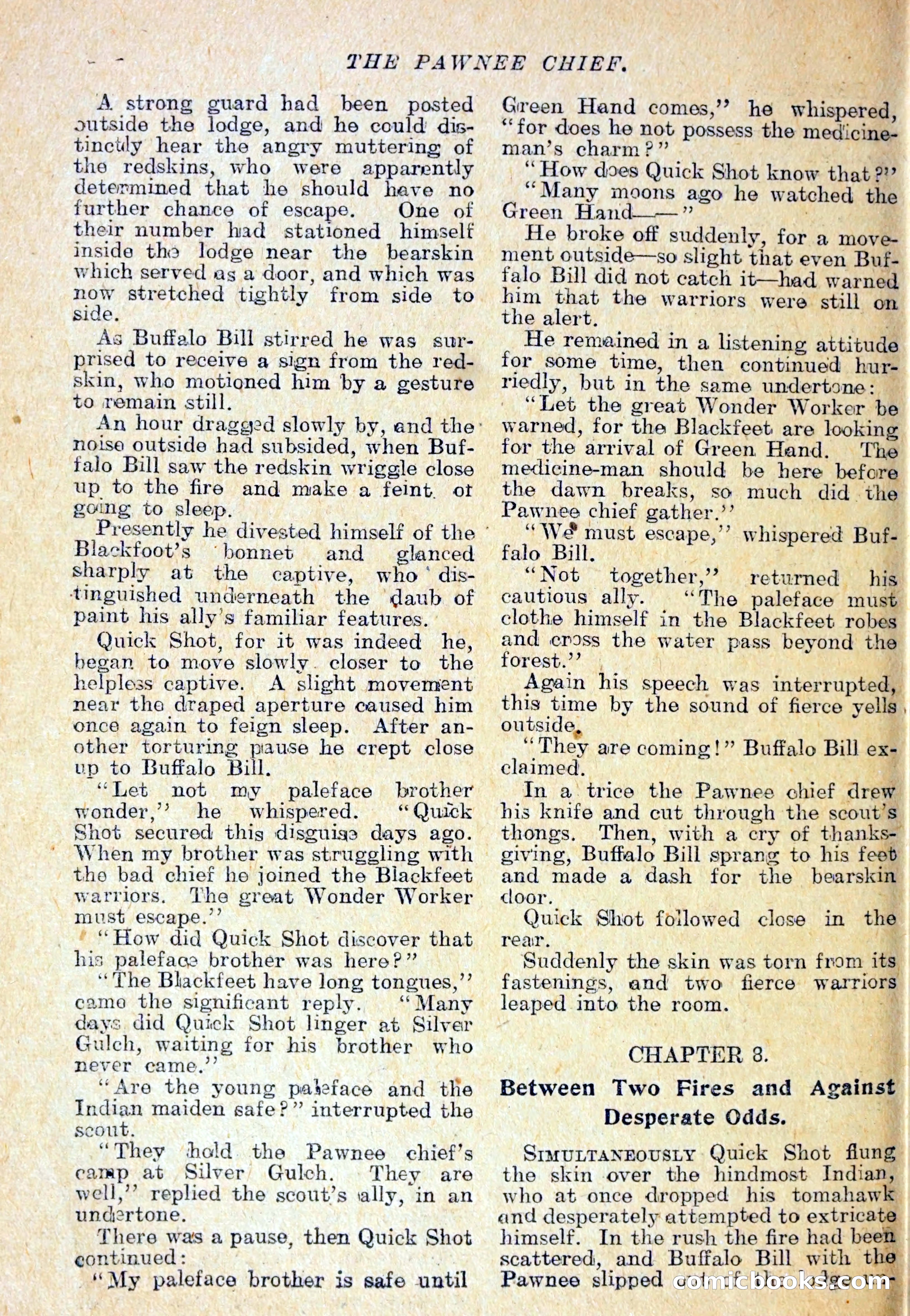 The Pawnee Chief — page 29 of 37