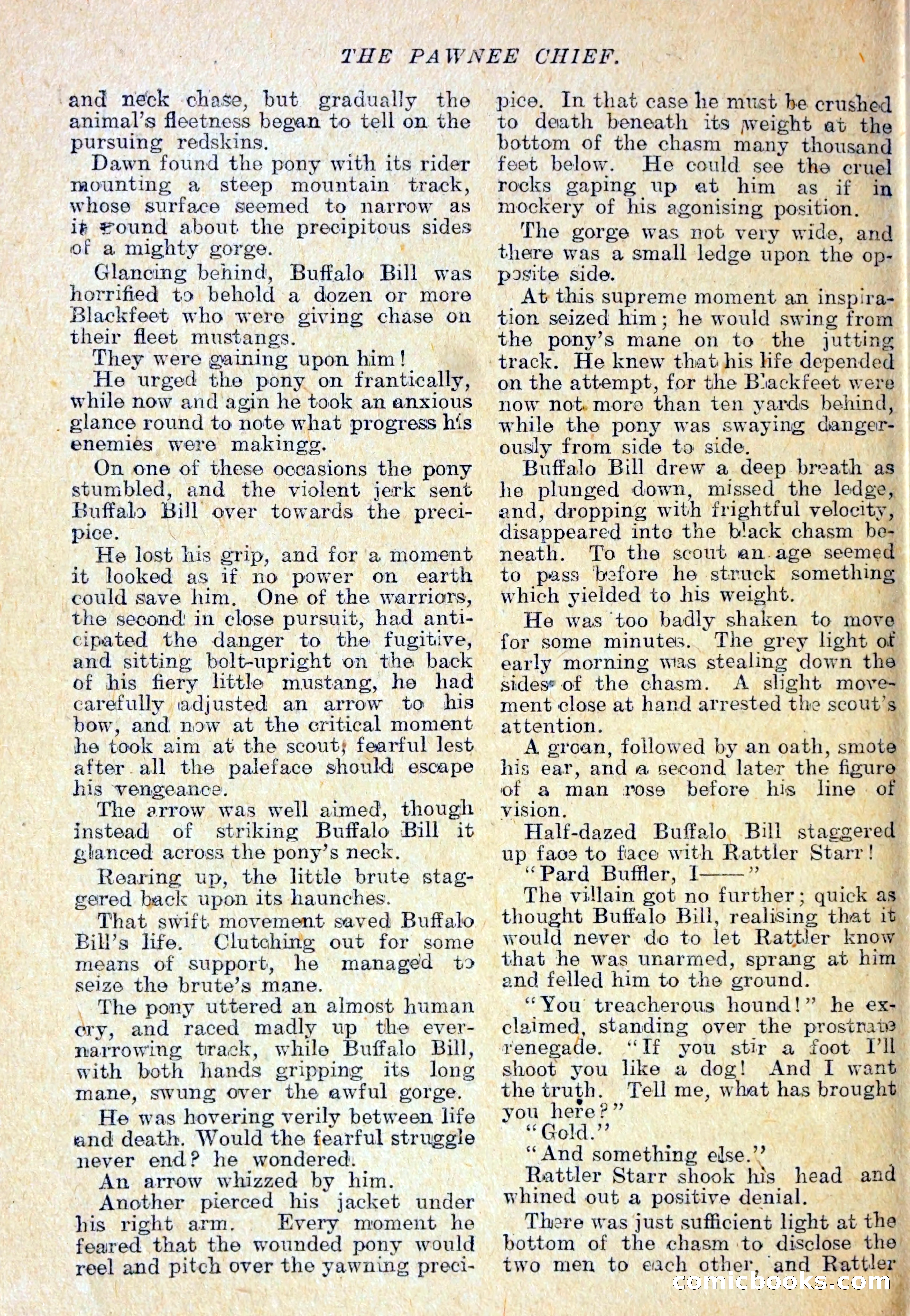 The Pawnee Chief — page 31 of 37