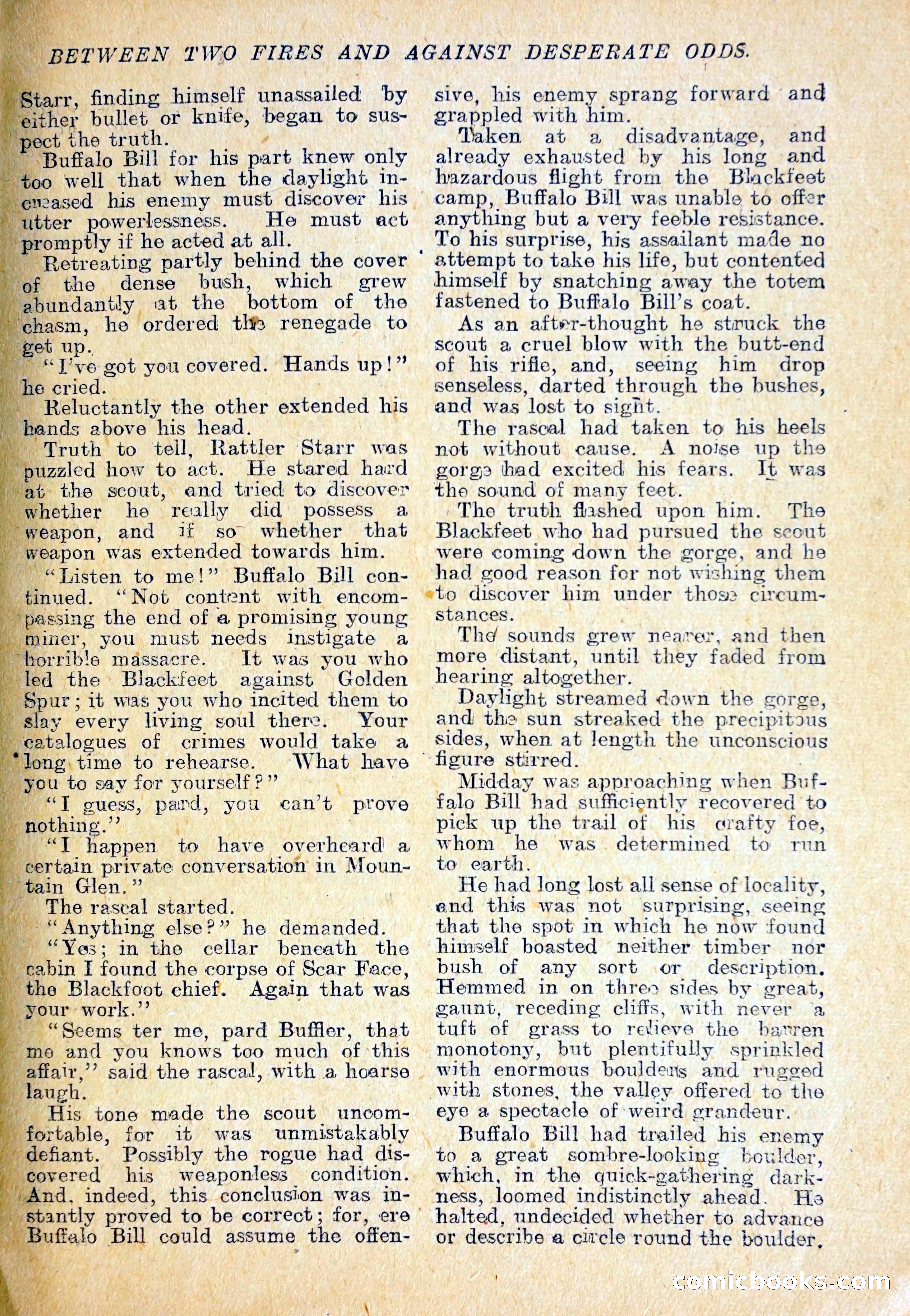 The Pawnee Chief — page 32 of 37