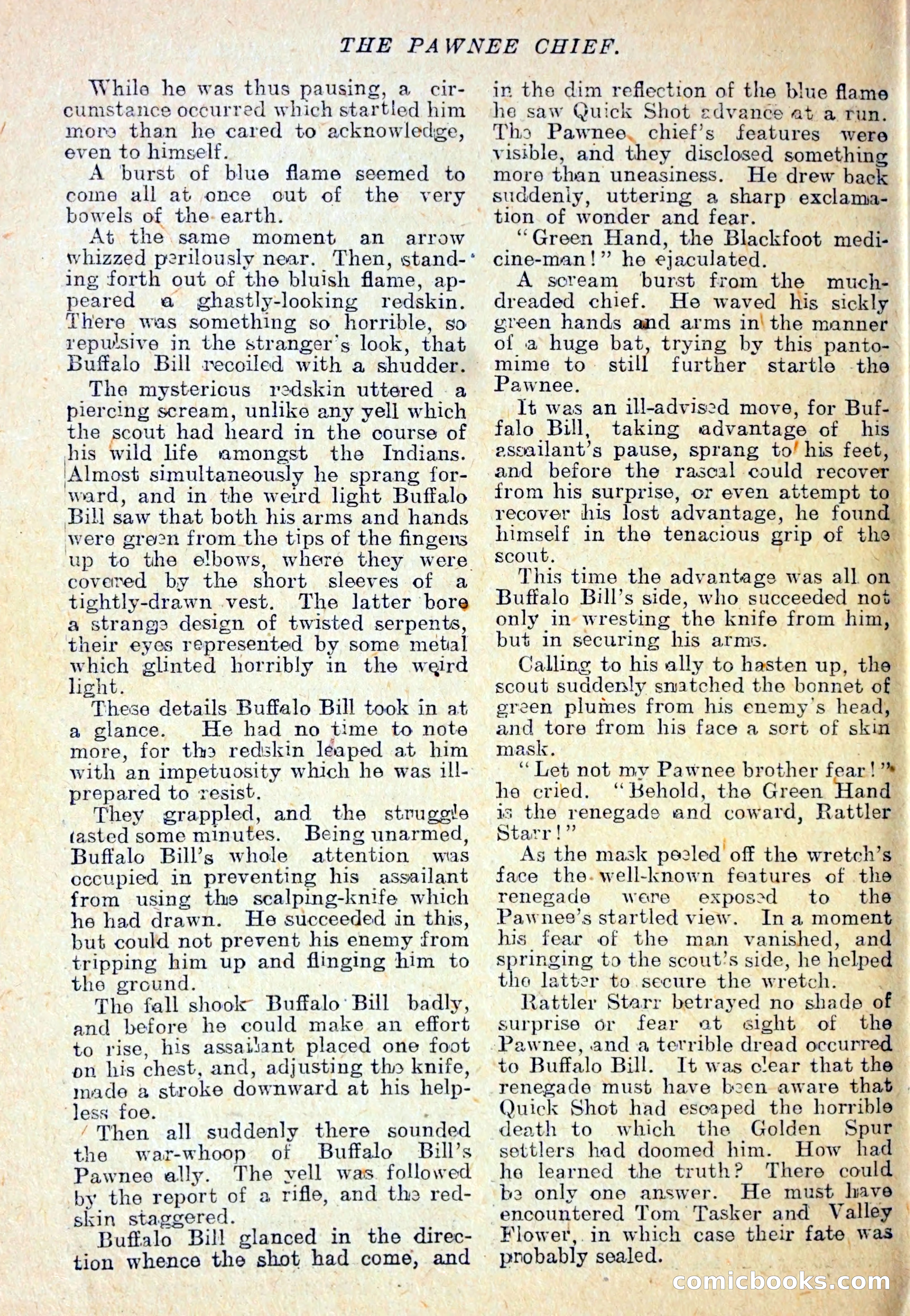 The Pawnee Chief — page 33 of 37