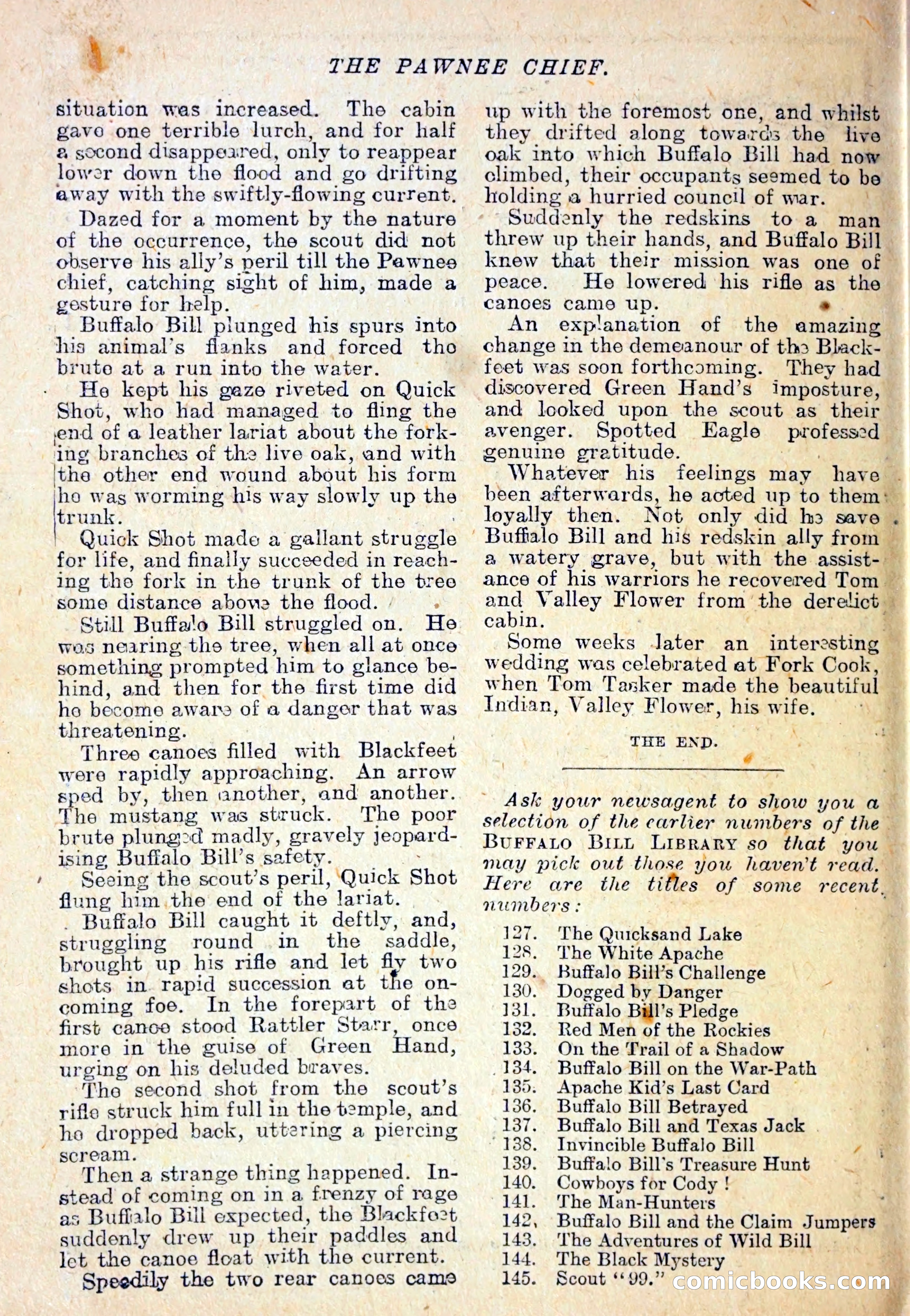 The Pawnee Chief — page 35 of 37