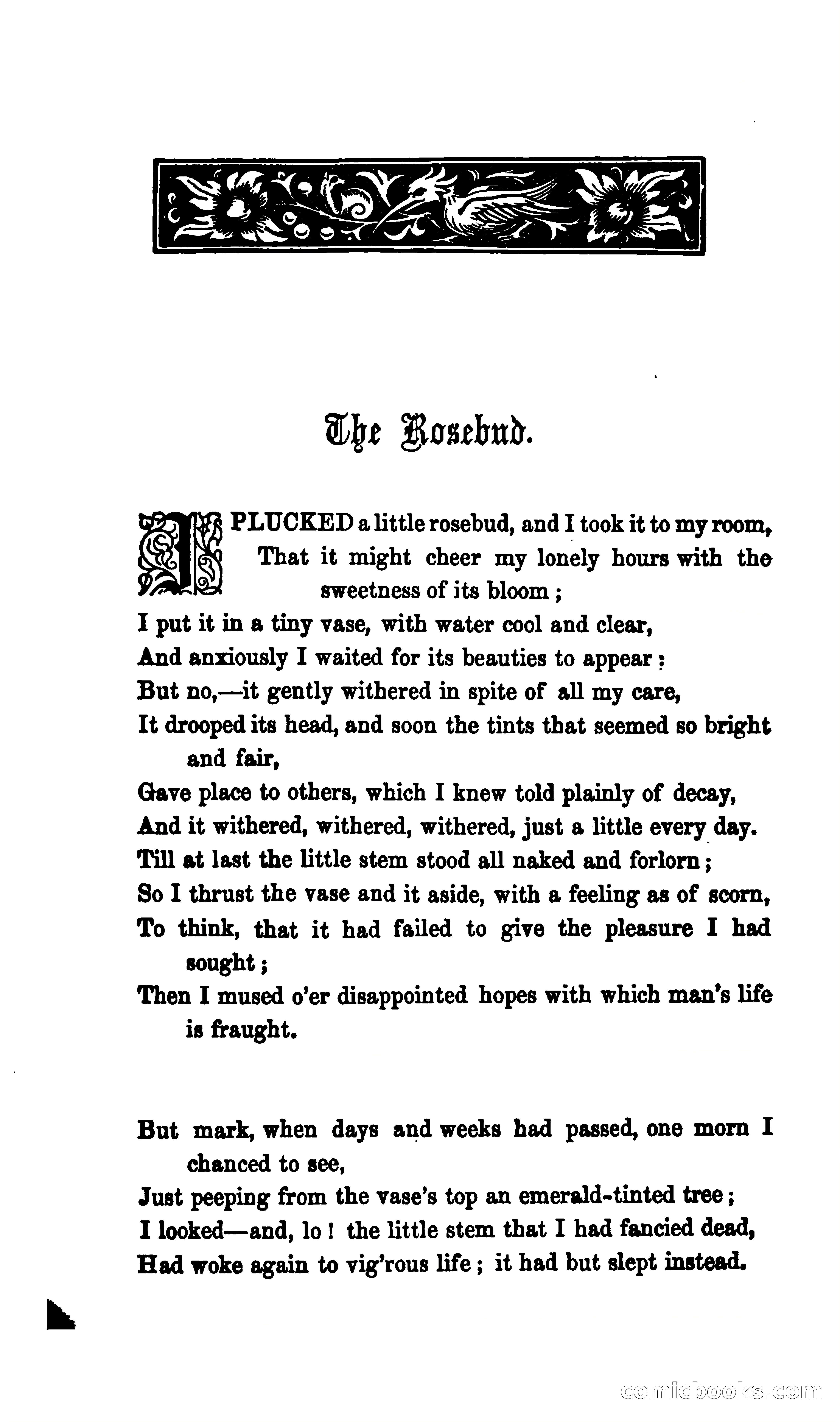 Pensive poems and startling stories — page 31 of 142