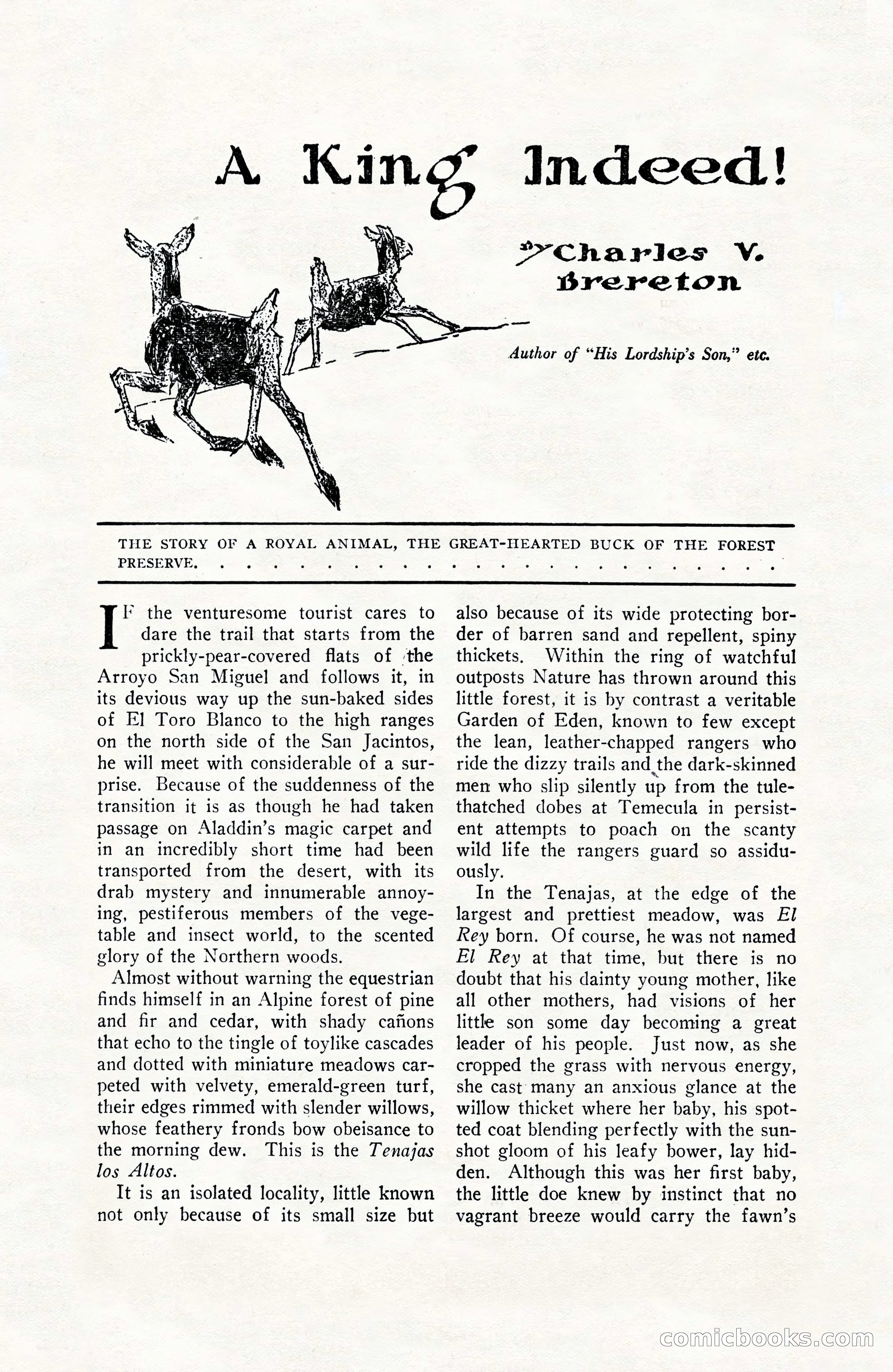 People's Stories That Stir — page 142 of 212