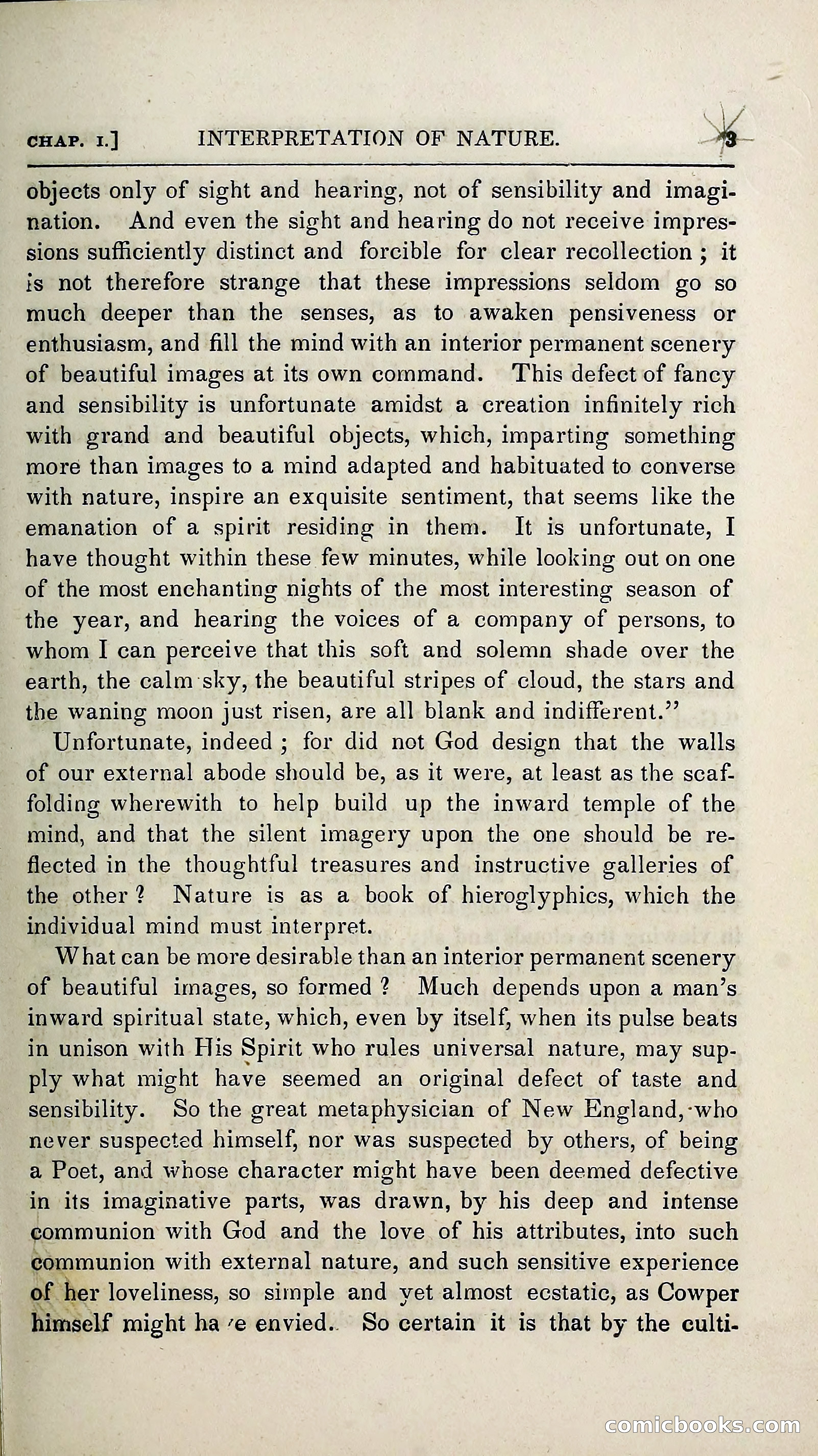 The Pilgrim in the Shadow of the Jungfrau Alp — page 19 of 396