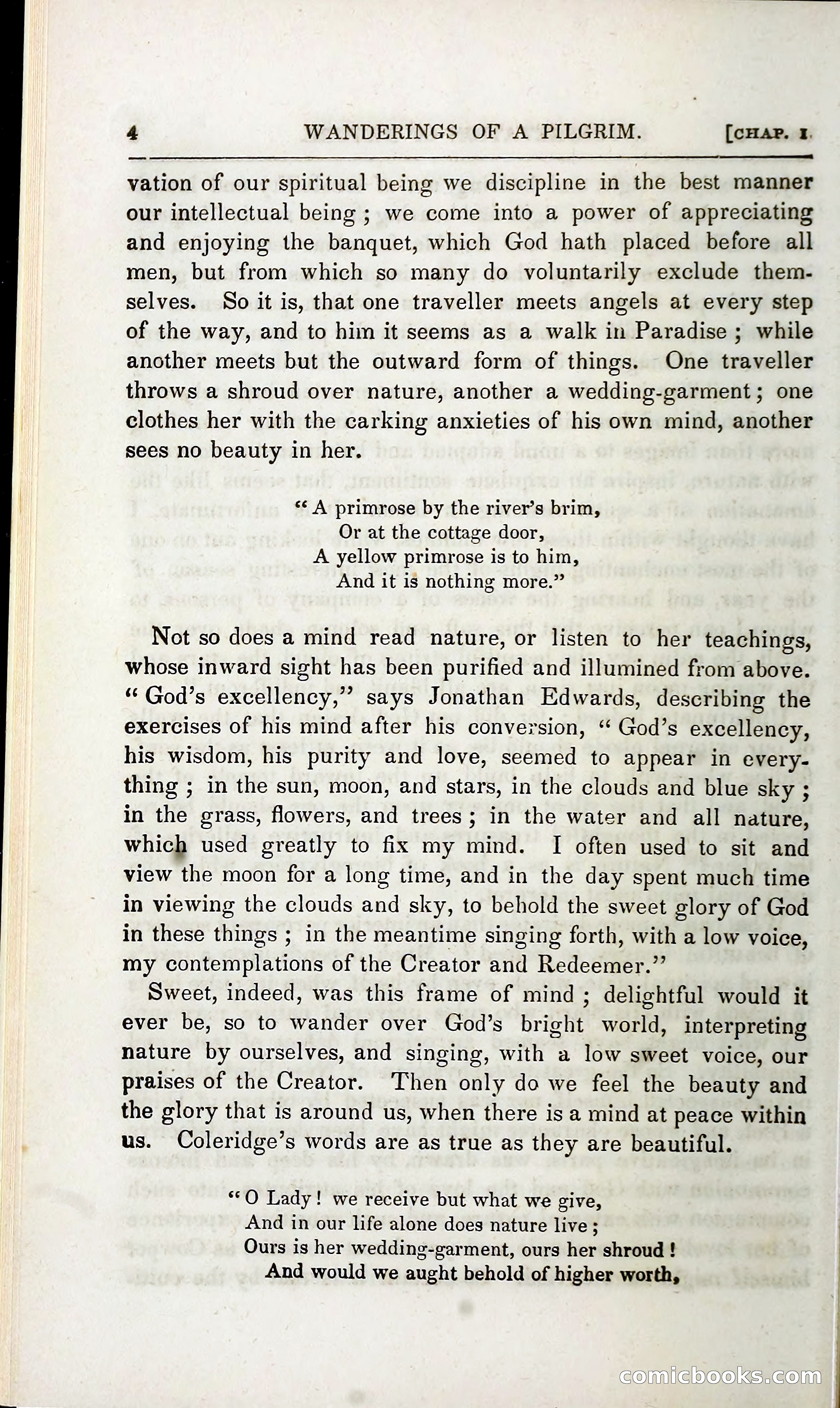 The Pilgrim in the Shadow of the Jungfrau Alp — page 20 of 396