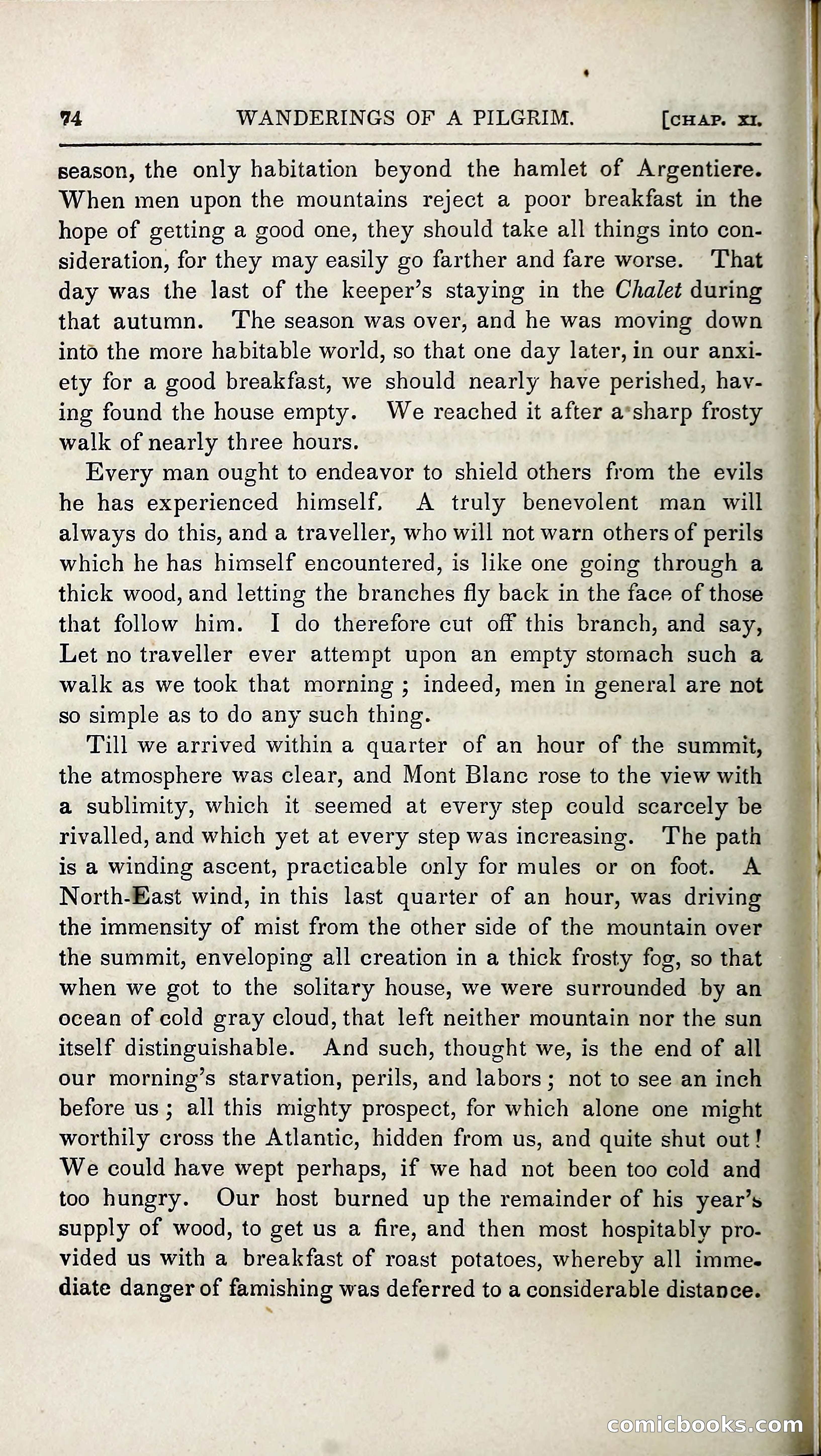 The Pilgrim in the Shadow of the Jungfrau Alp — page 90 of 396