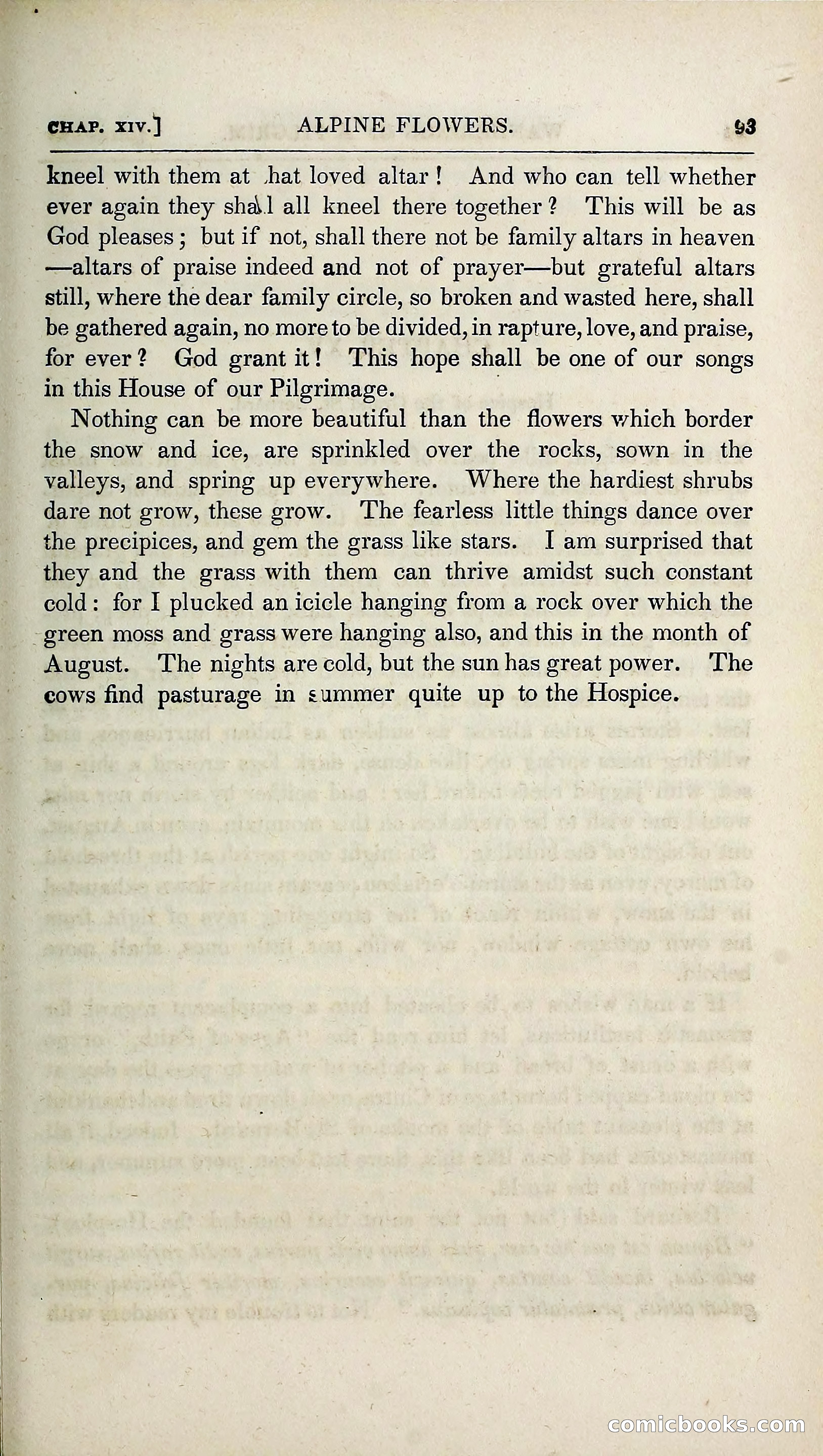 The Pilgrim in the Shadow of the Jungfrau Alp — page 109 of 396
