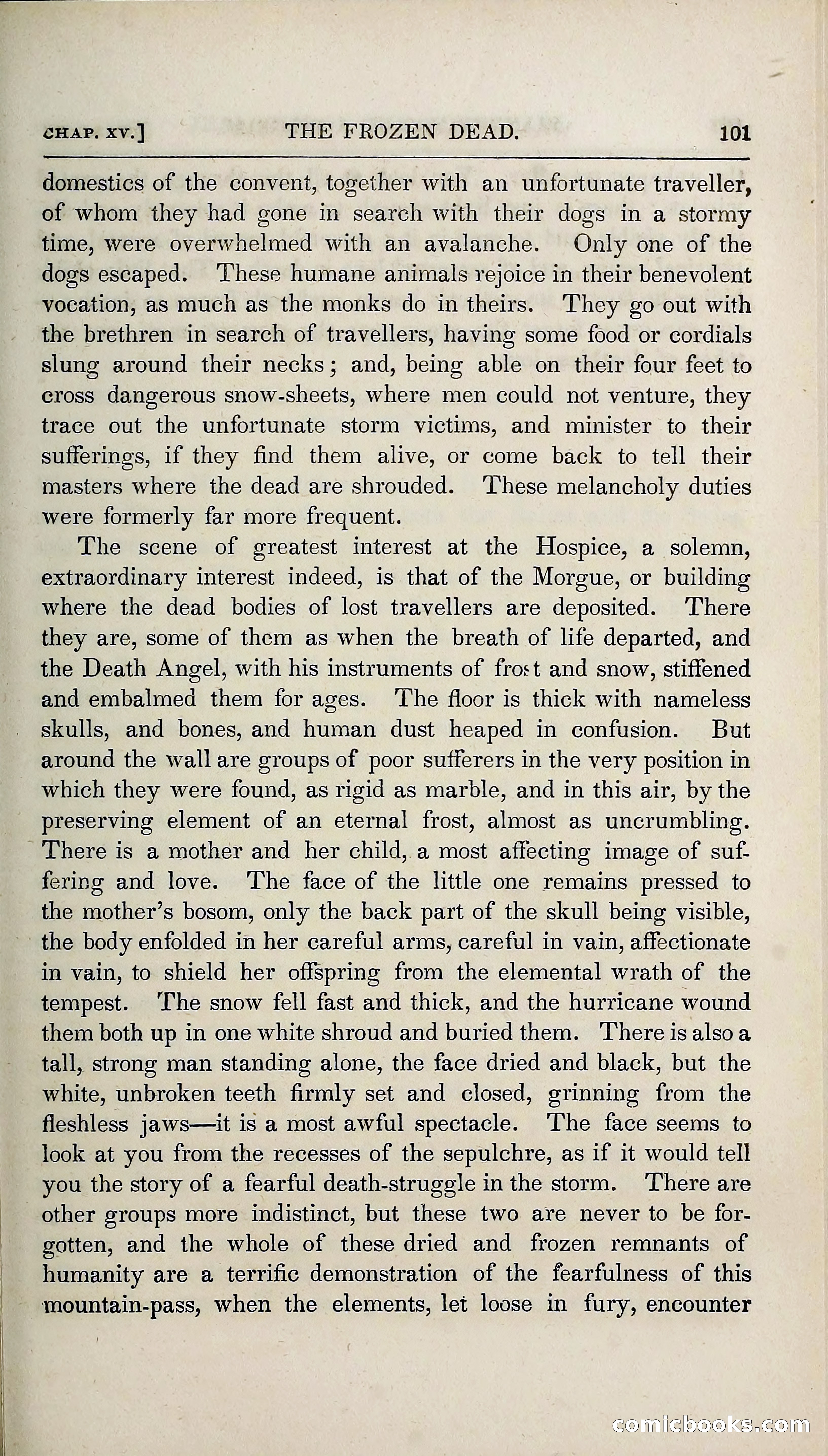 The Pilgrim in the Shadow of the Jungfrau Alp — page 117 of 396