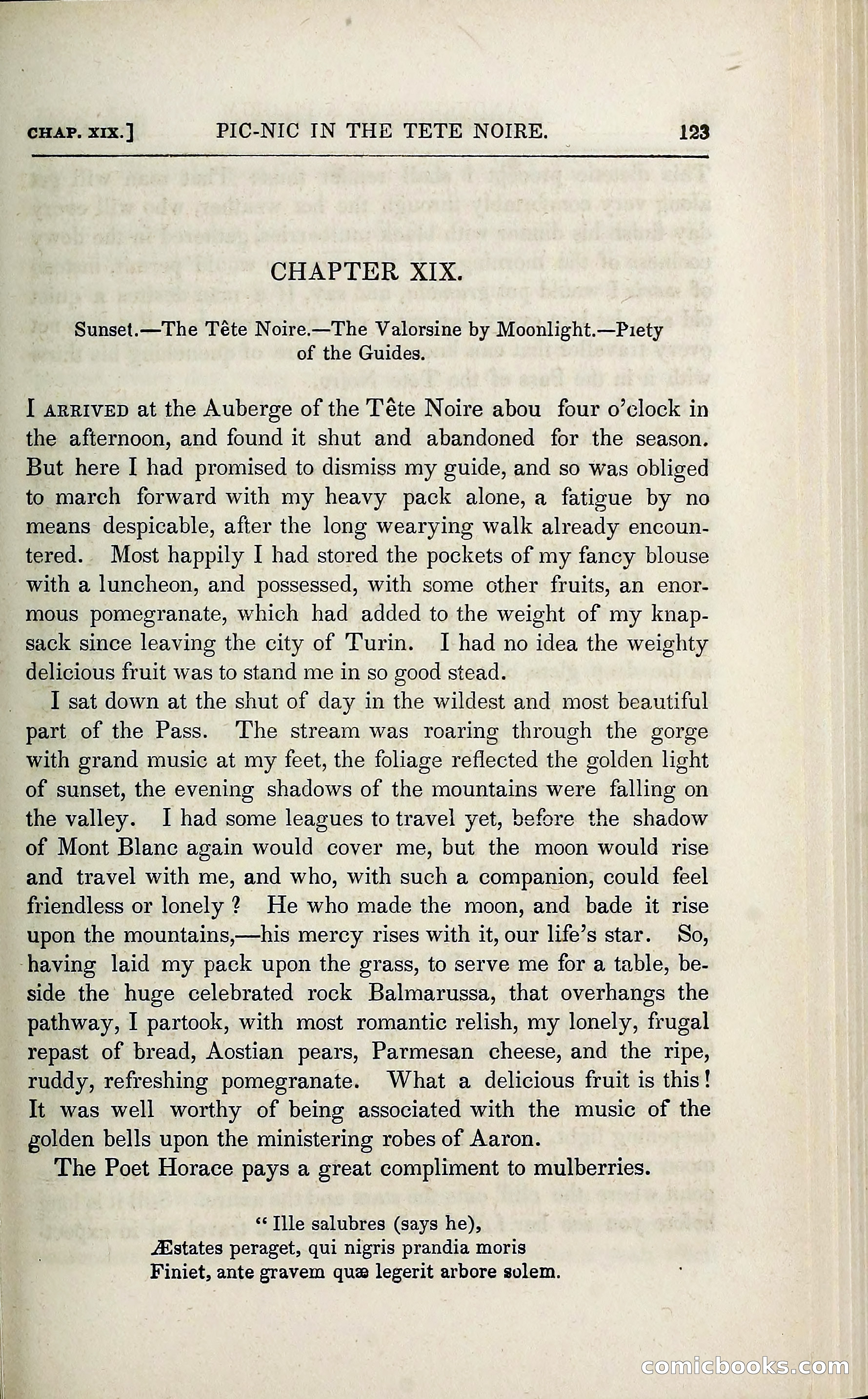 The Pilgrim in the Shadow of the Jungfrau Alp — page 139 of 396
