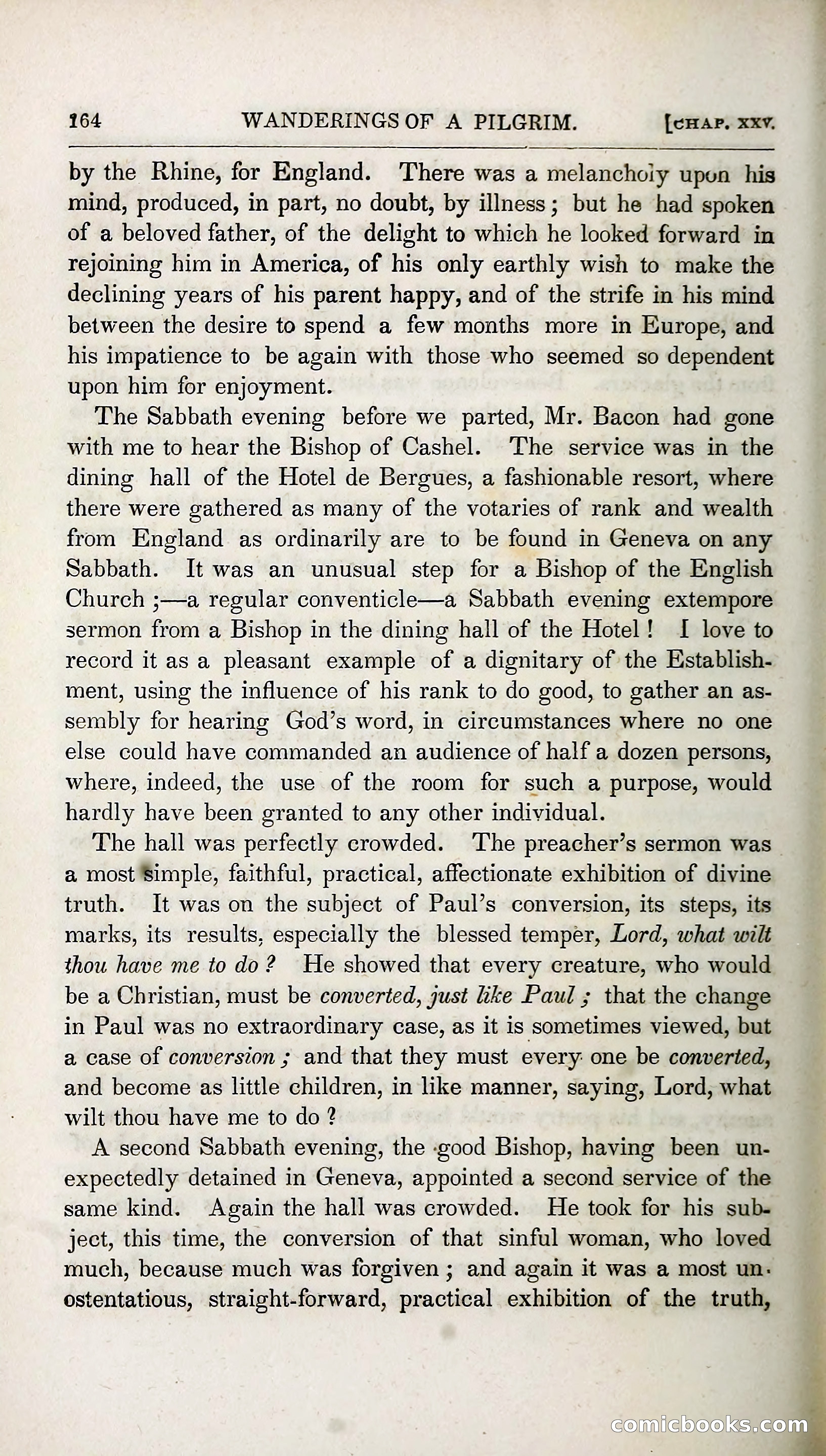 The Pilgrim in the Shadow of the Jungfrau Alp — page 180 of 396