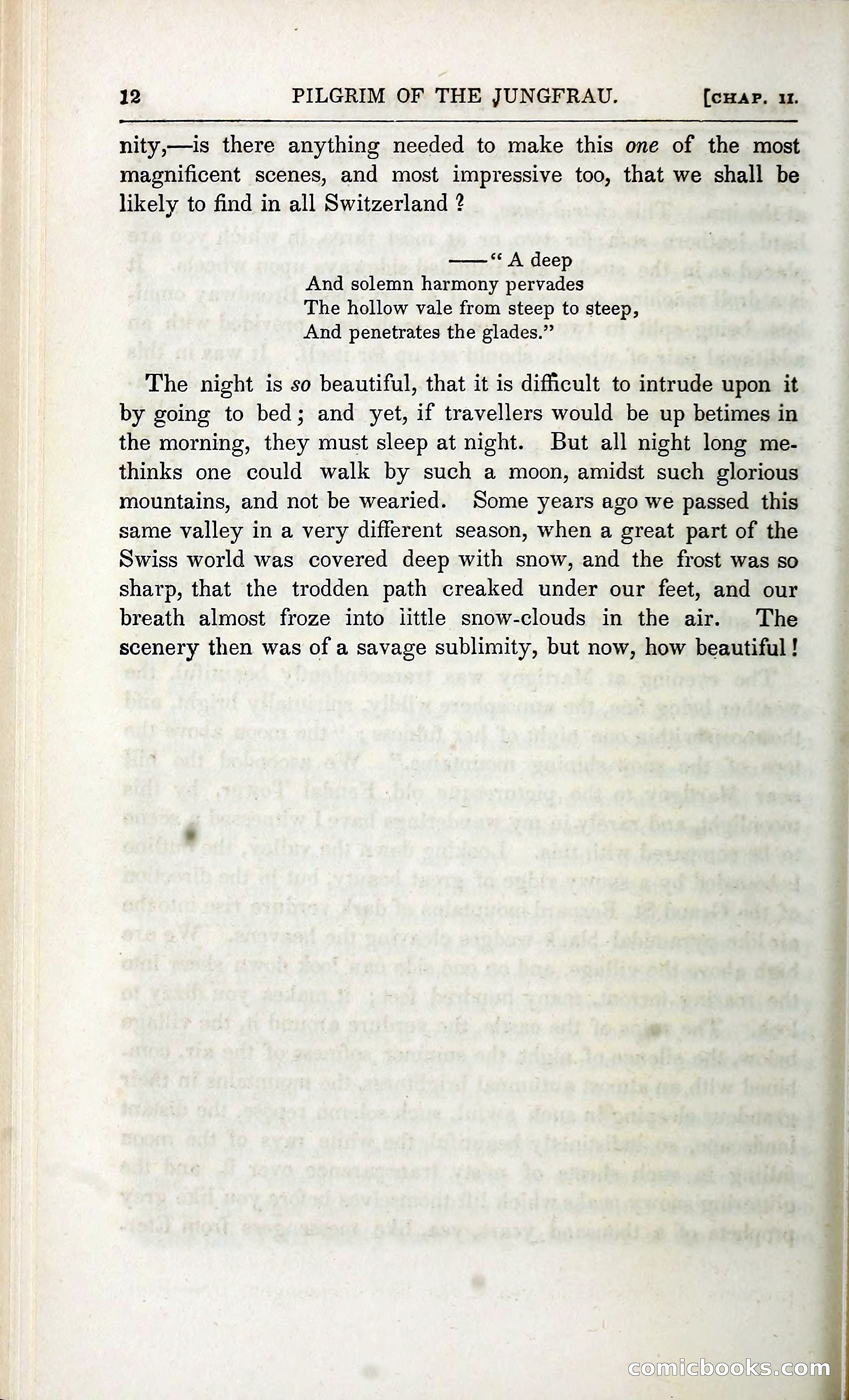 The Pilgrim in the Shadow of the Jungfrau Alp — page 206 of 396
