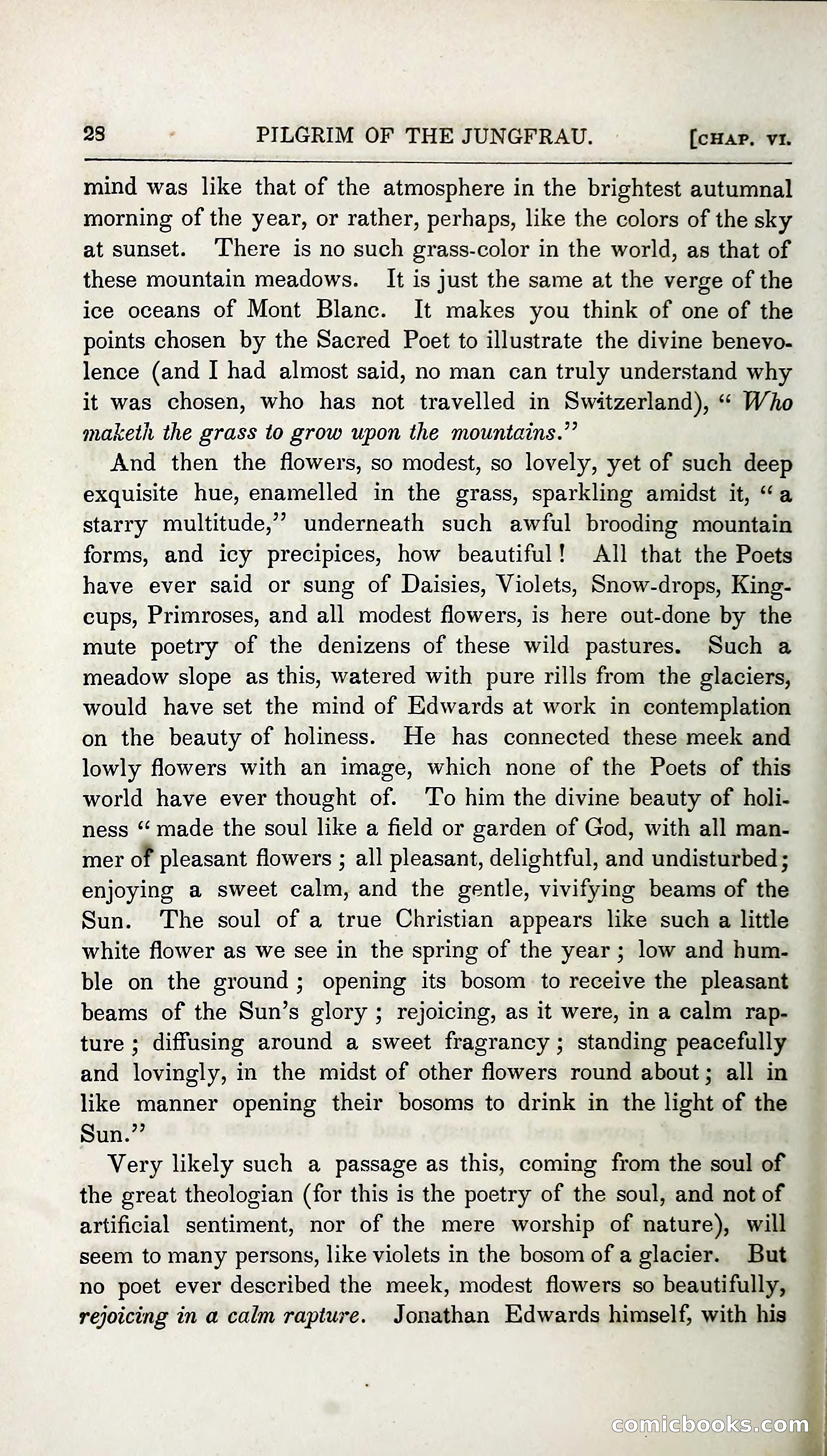 The Pilgrim in the Shadow of the Jungfrau Alp — page 222 of 396