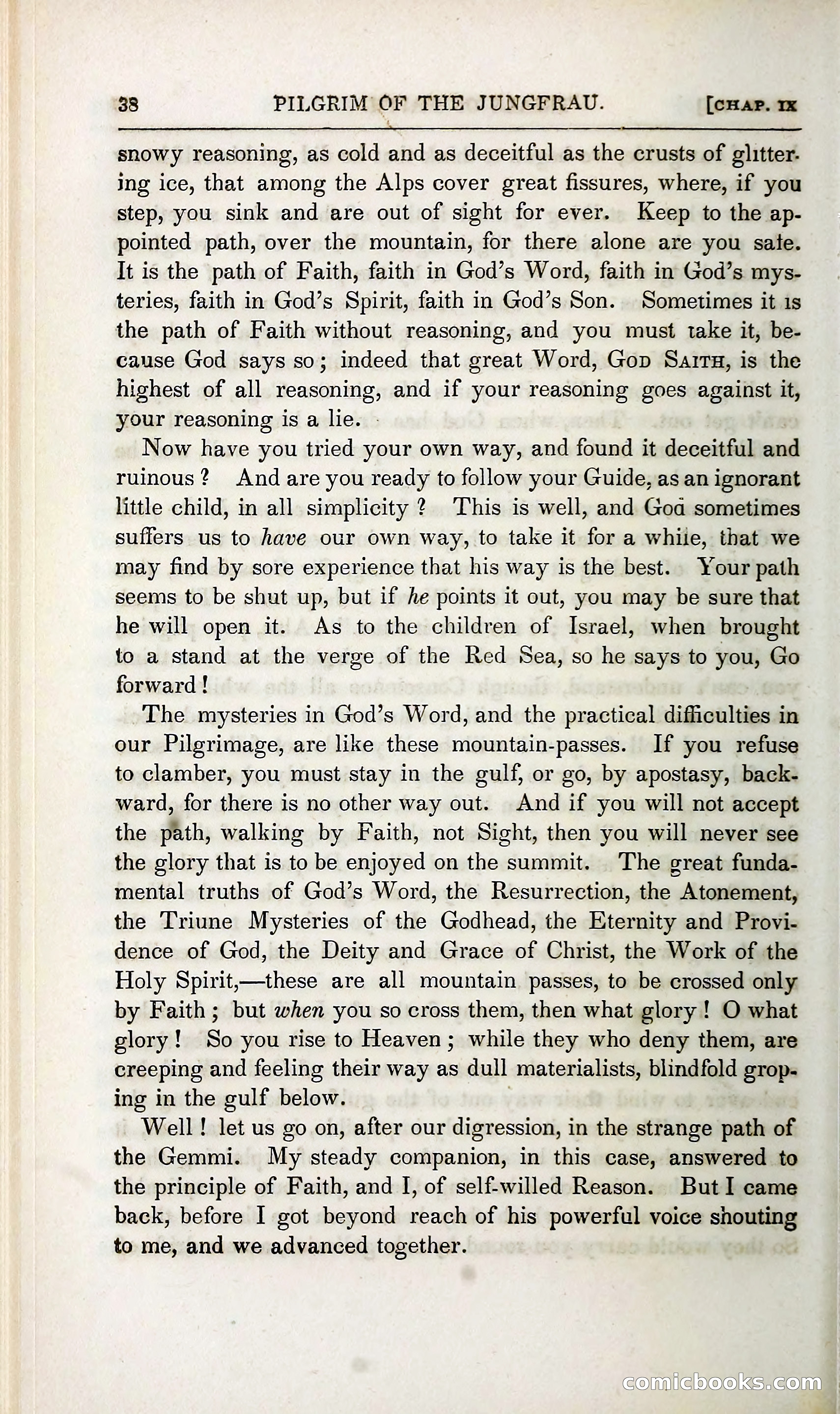 The Pilgrim in the Shadow of the Jungfrau Alp — page 232 of 396