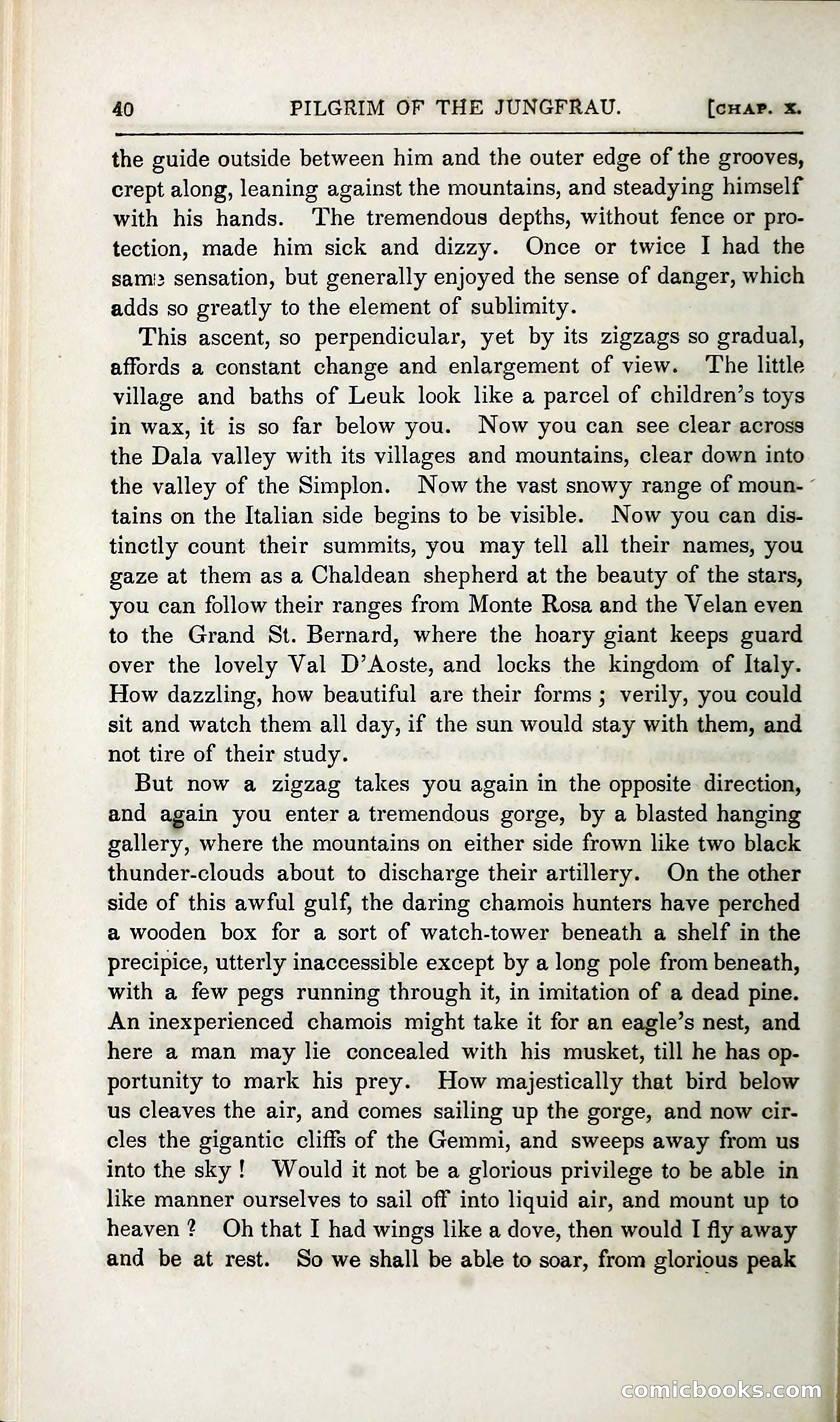 The Pilgrim in the Shadow of the Jungfrau Alp — page 234 of 396