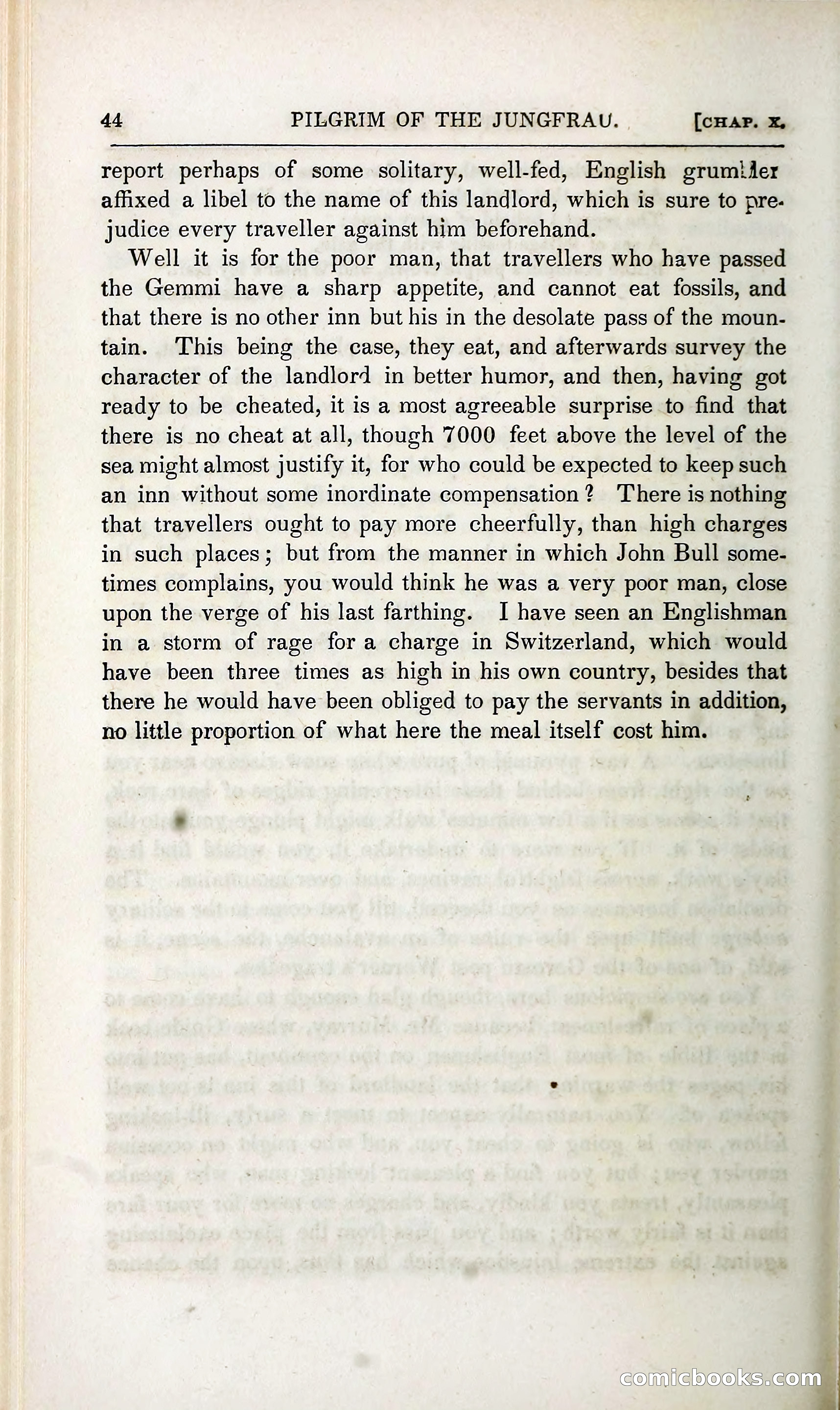 The Pilgrim in the Shadow of the Jungfrau Alp — page 238 of 396