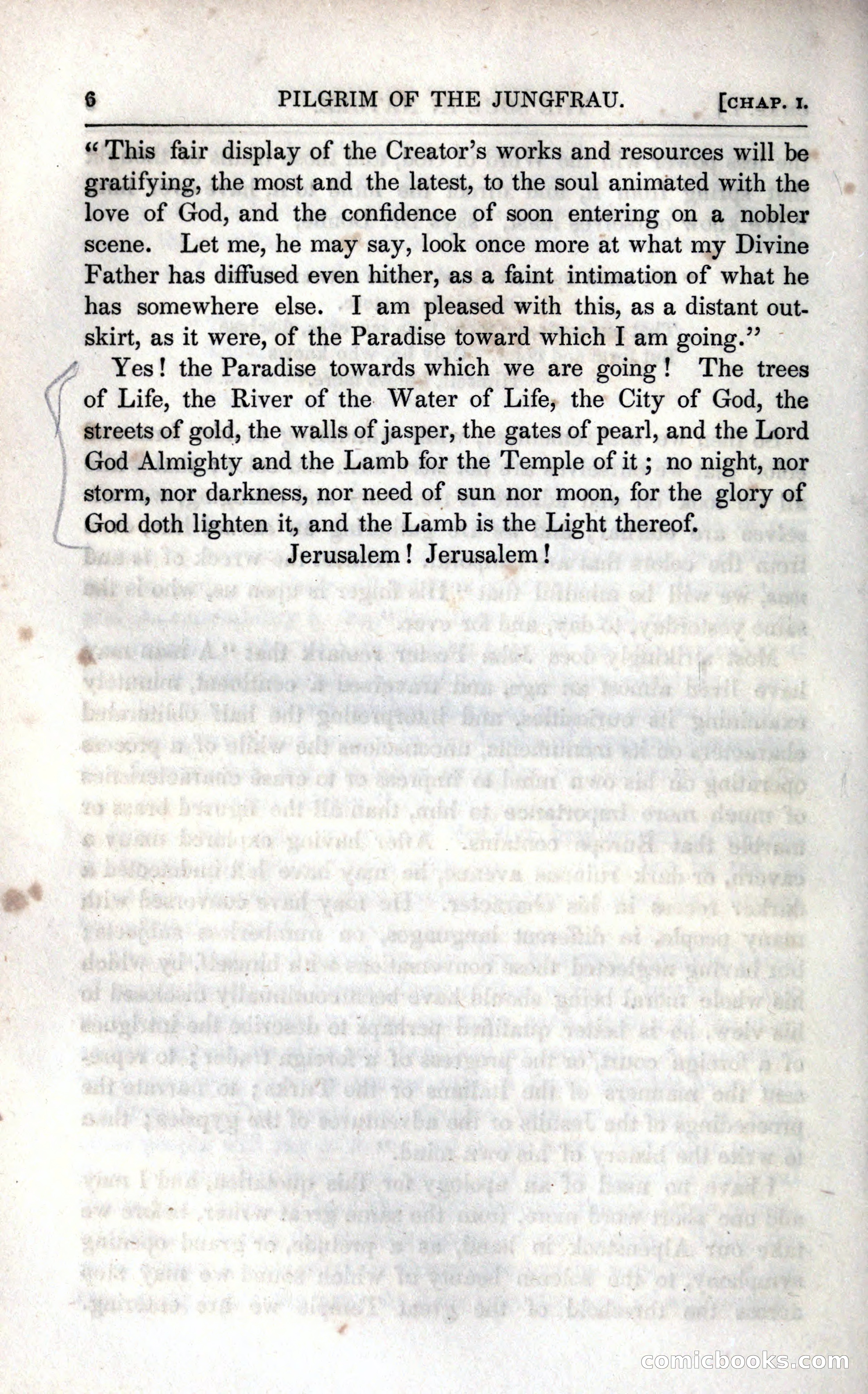 The Pilgrim in the Shadow of the Jungfrau Alp — page 22 of 234