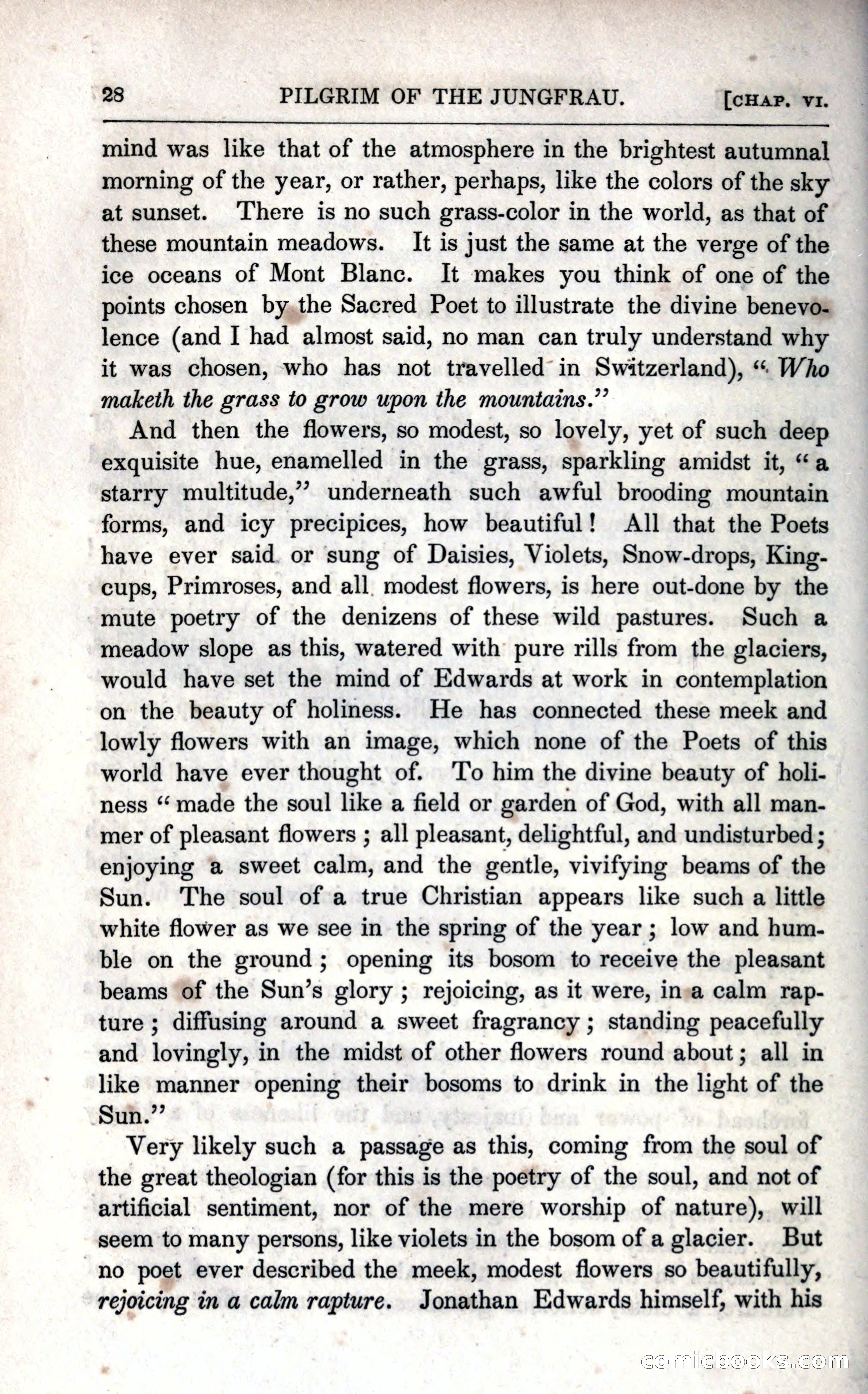 The Pilgrim in the Shadow of the Jungfrau Alp — page 44 of 234