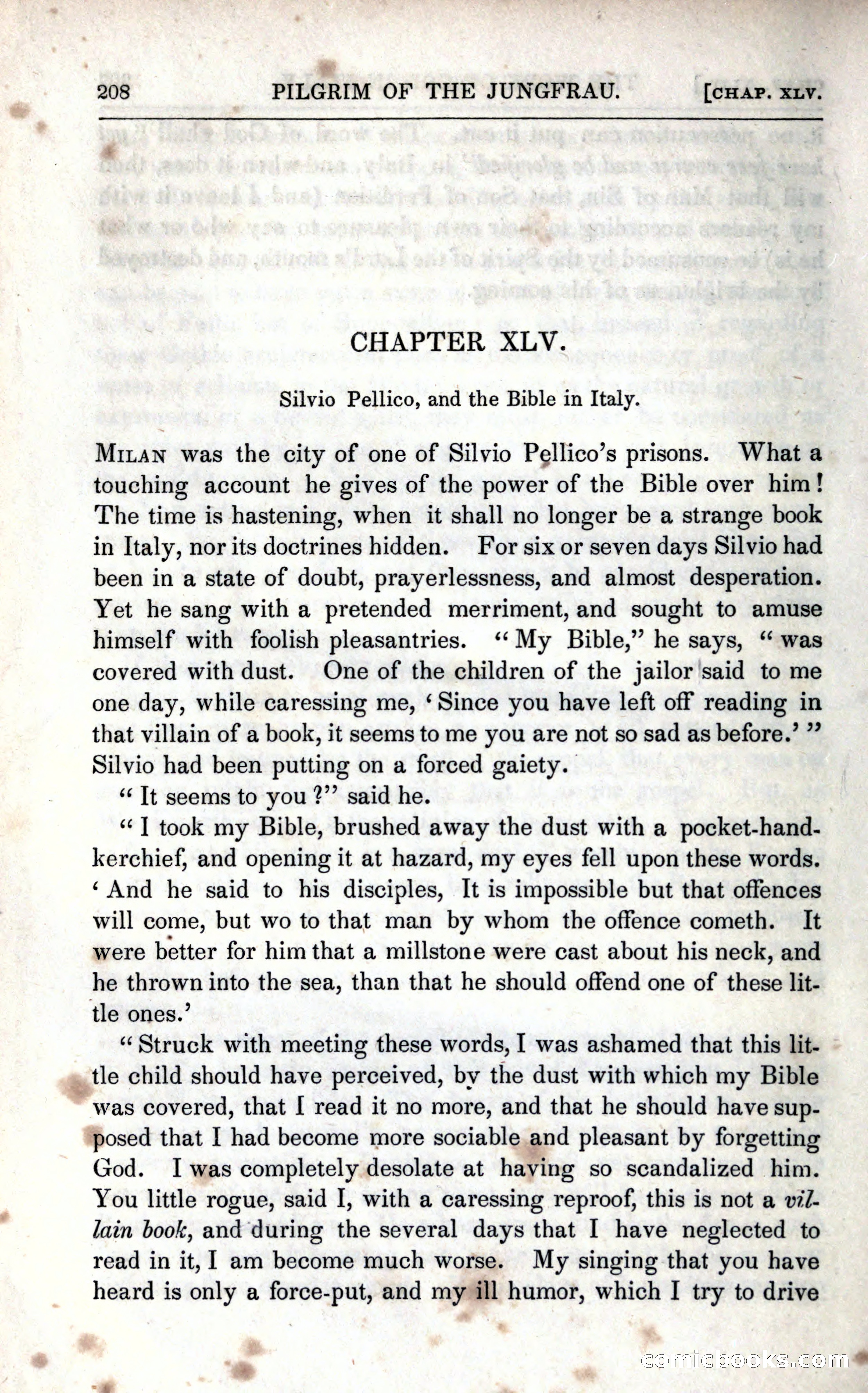 The Pilgrim in the Shadow of the Jungfrau Alp — page 224 of 234