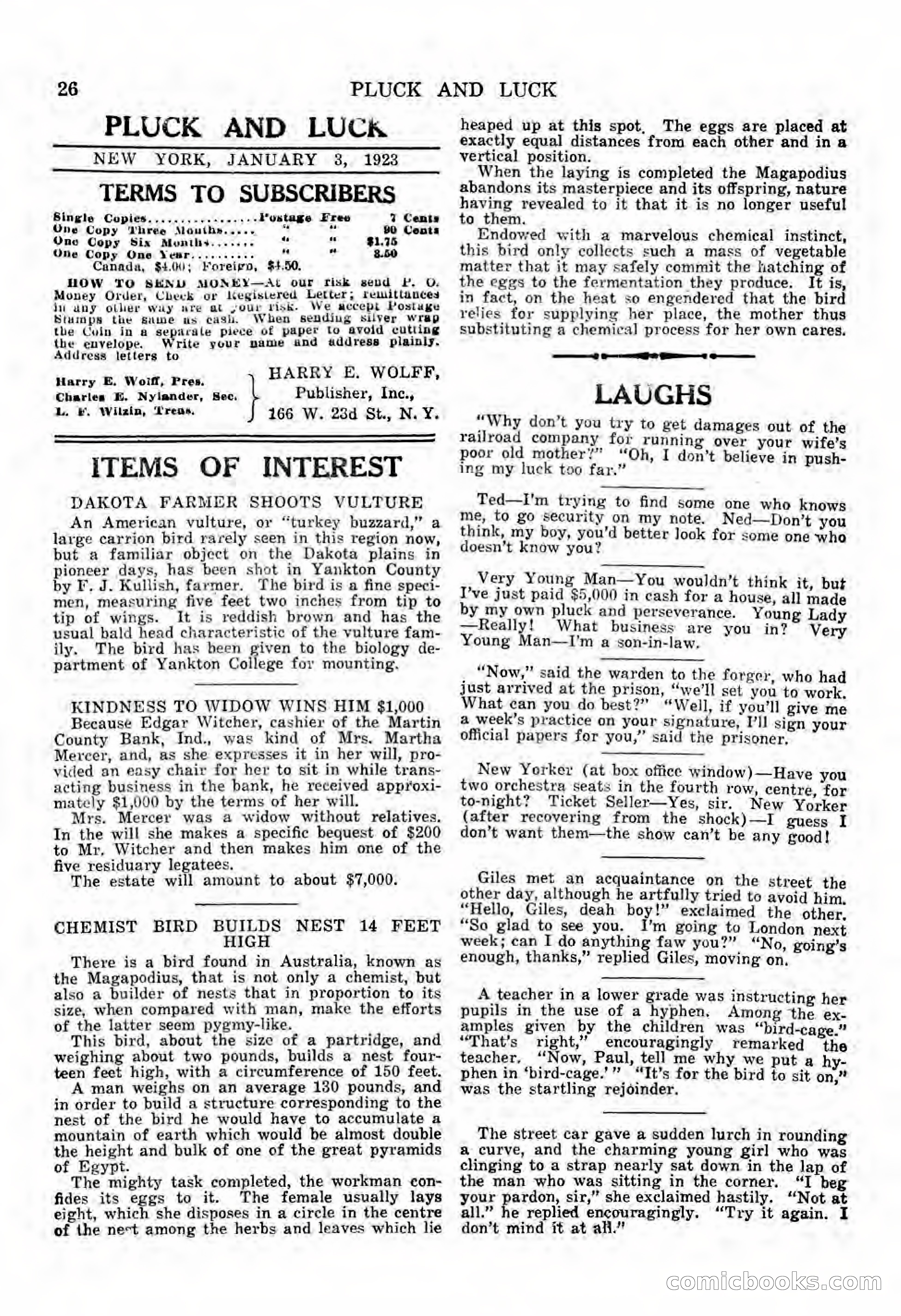 Pluck and Luck No. 1283 — page 28 of 36