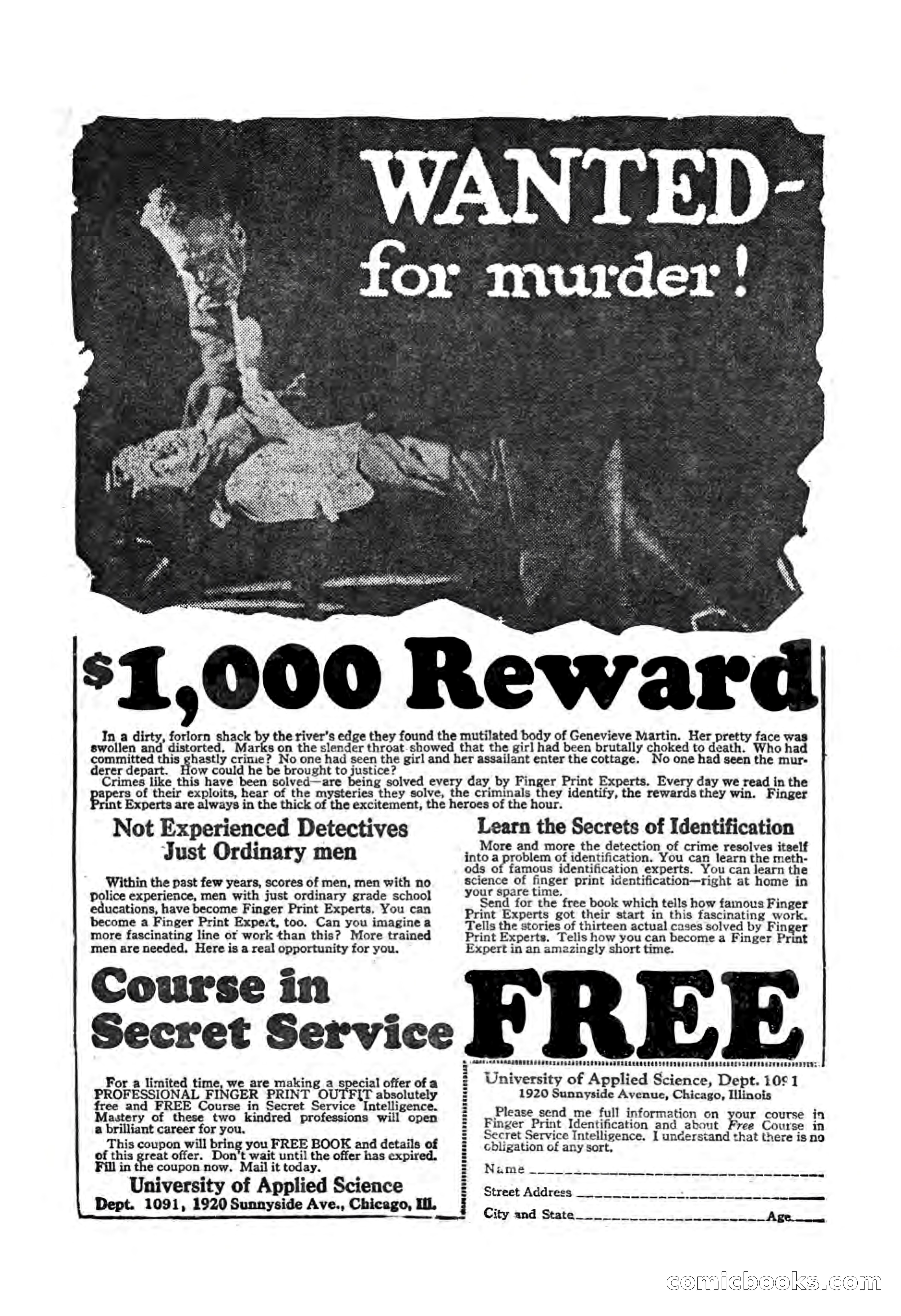 Pluck and Luck No. 1283 — page 31 of 36