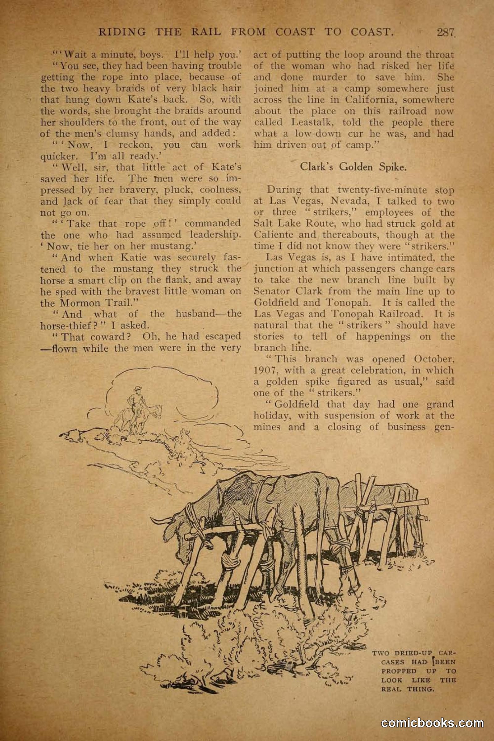 Railroad Mans Magazine, November 1909 — page 101 of 212