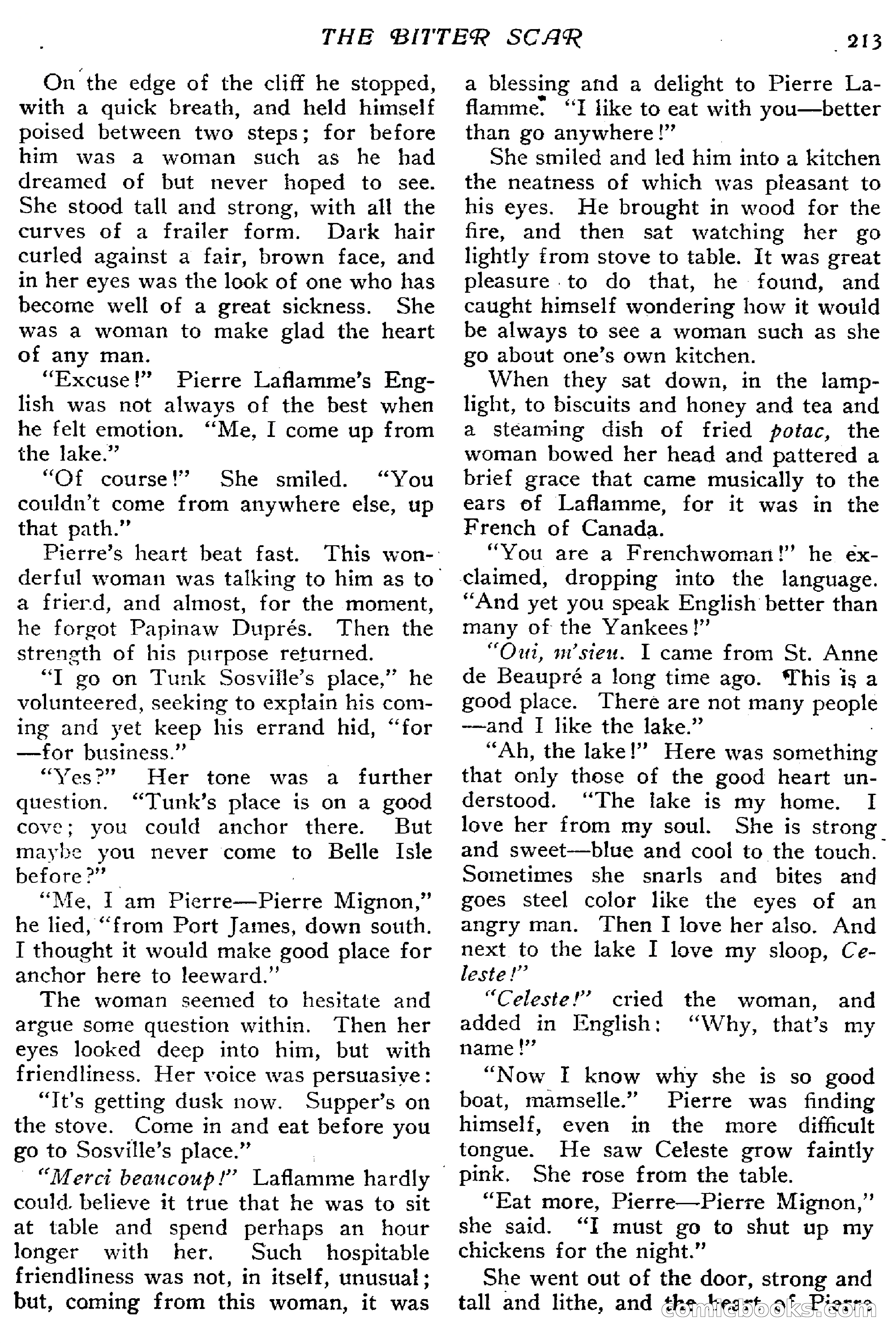 The Popular Magazine, January 7, 1916 — page 219 of 248