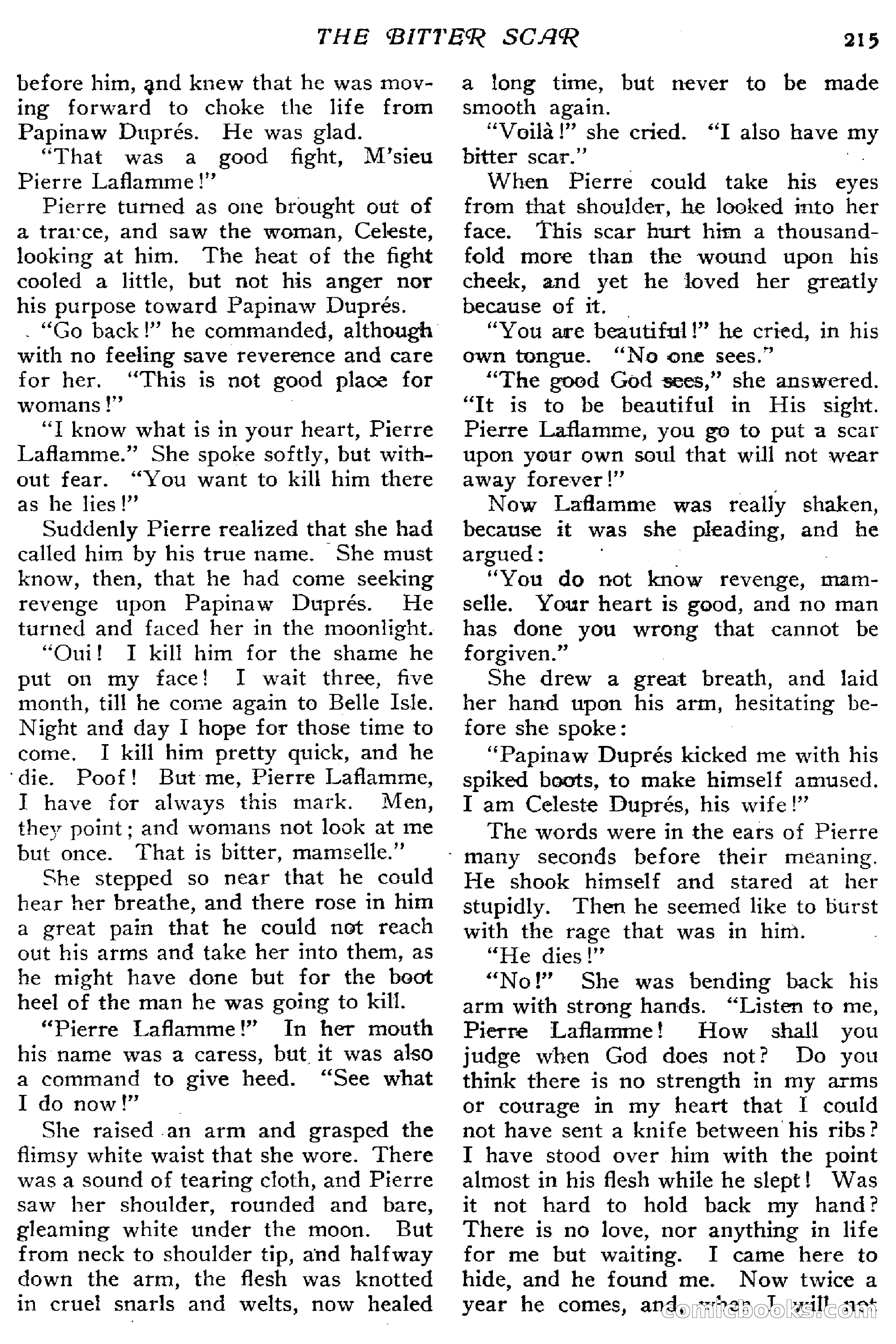 The Popular Magazine, January 7, 1916 — page 221 of 248