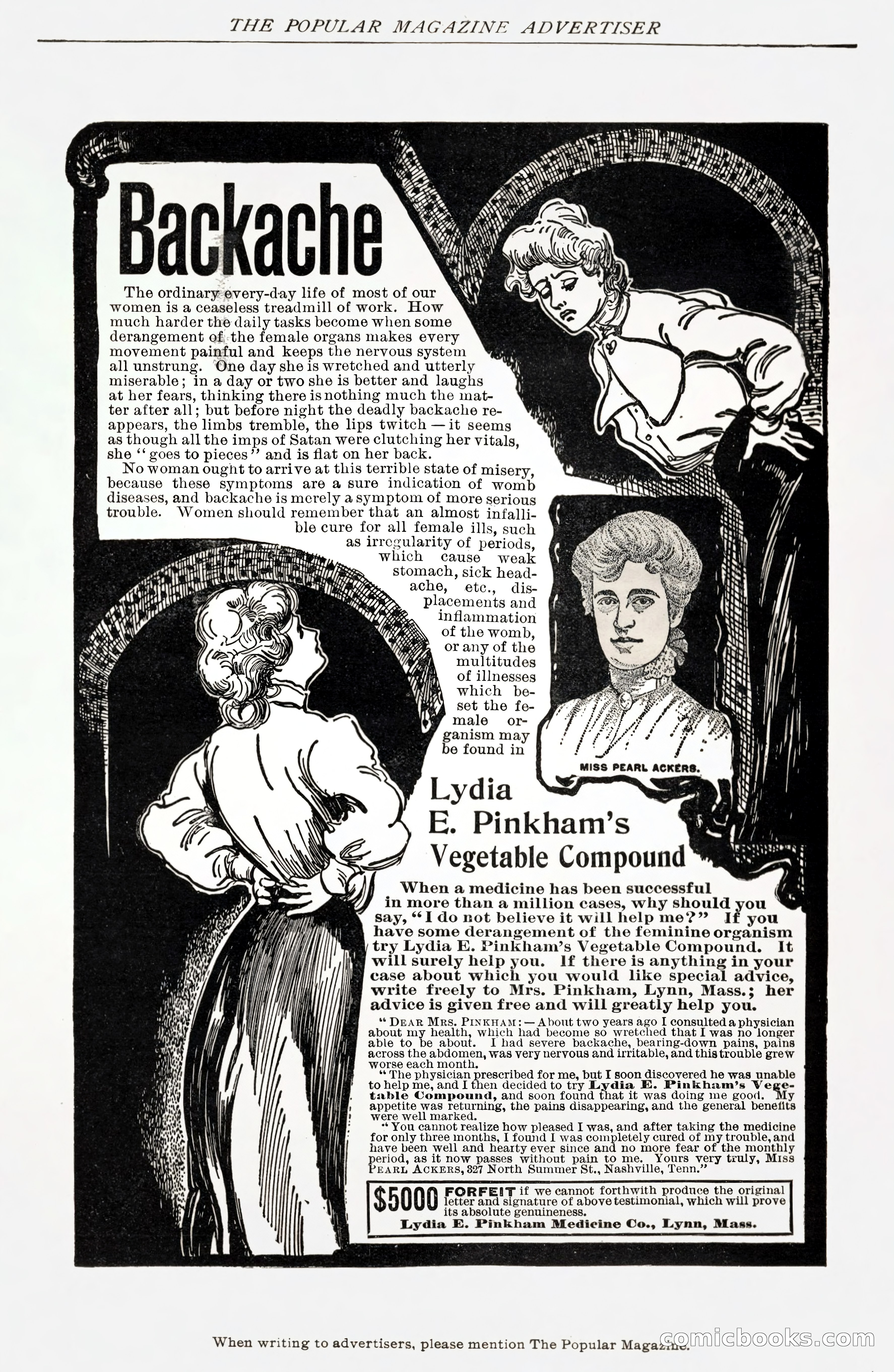 The Popular Magazine — page 214 of 220