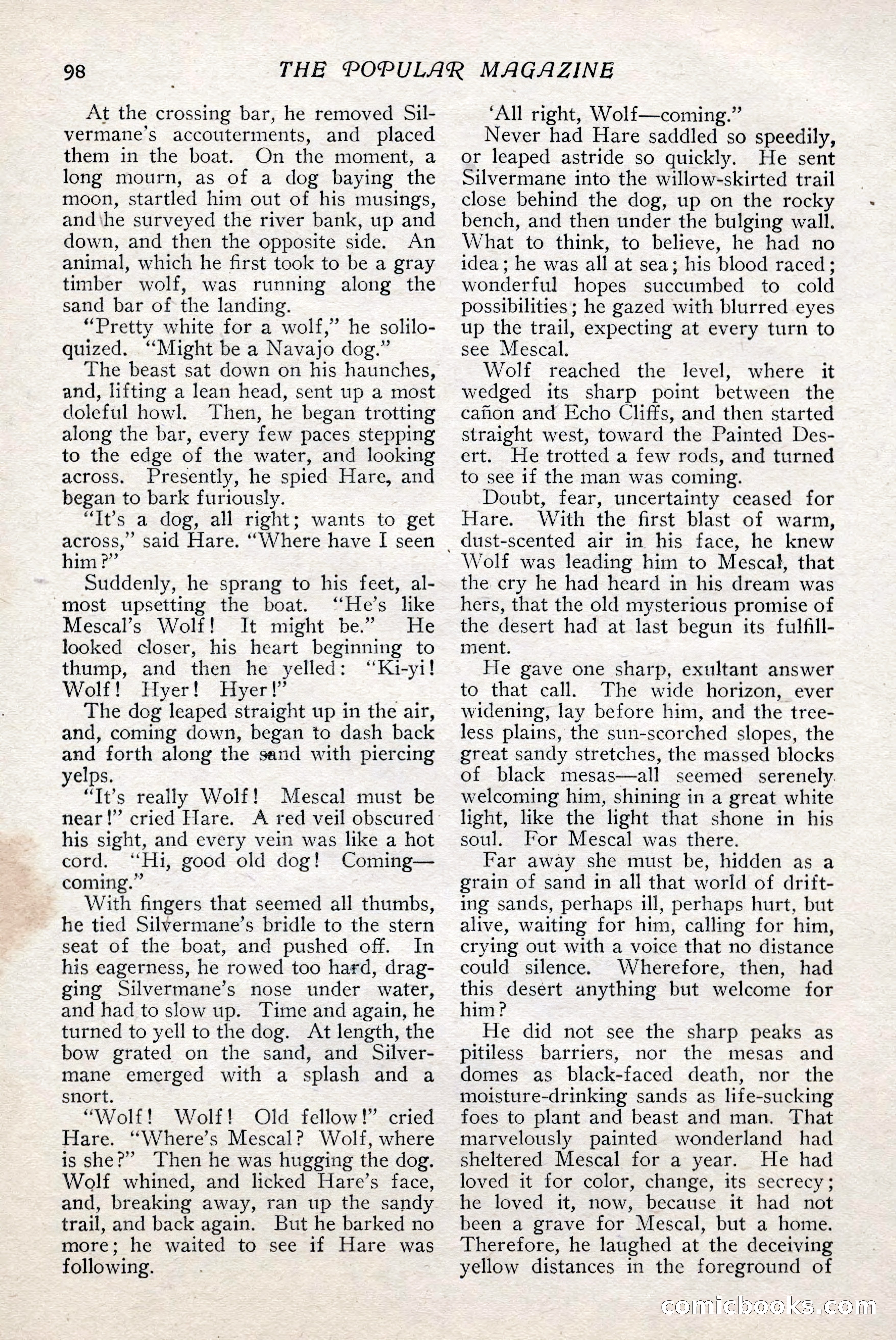 The Popular Magazine — page 104 of 252