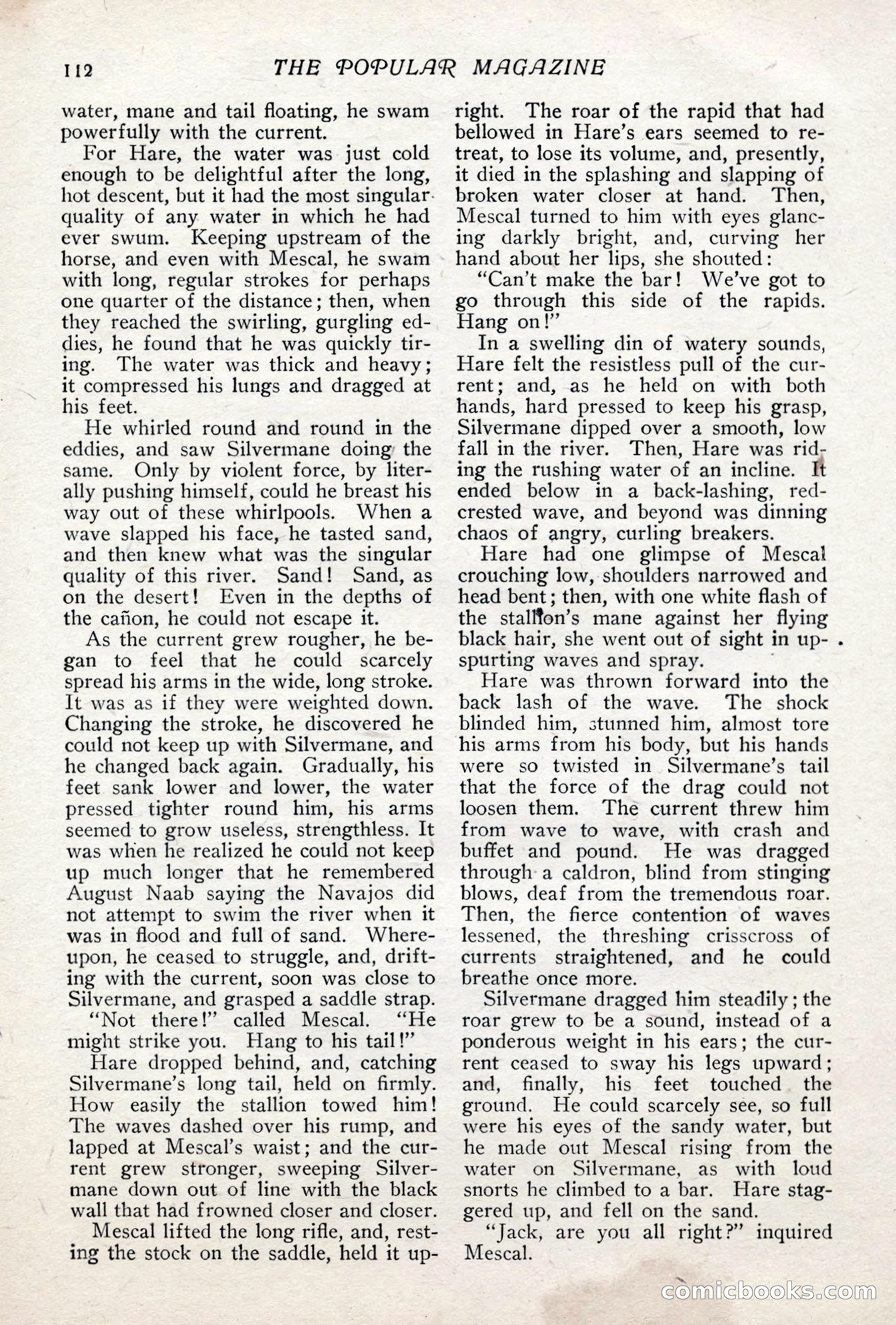 The Popular Magazine — page 118 of 252