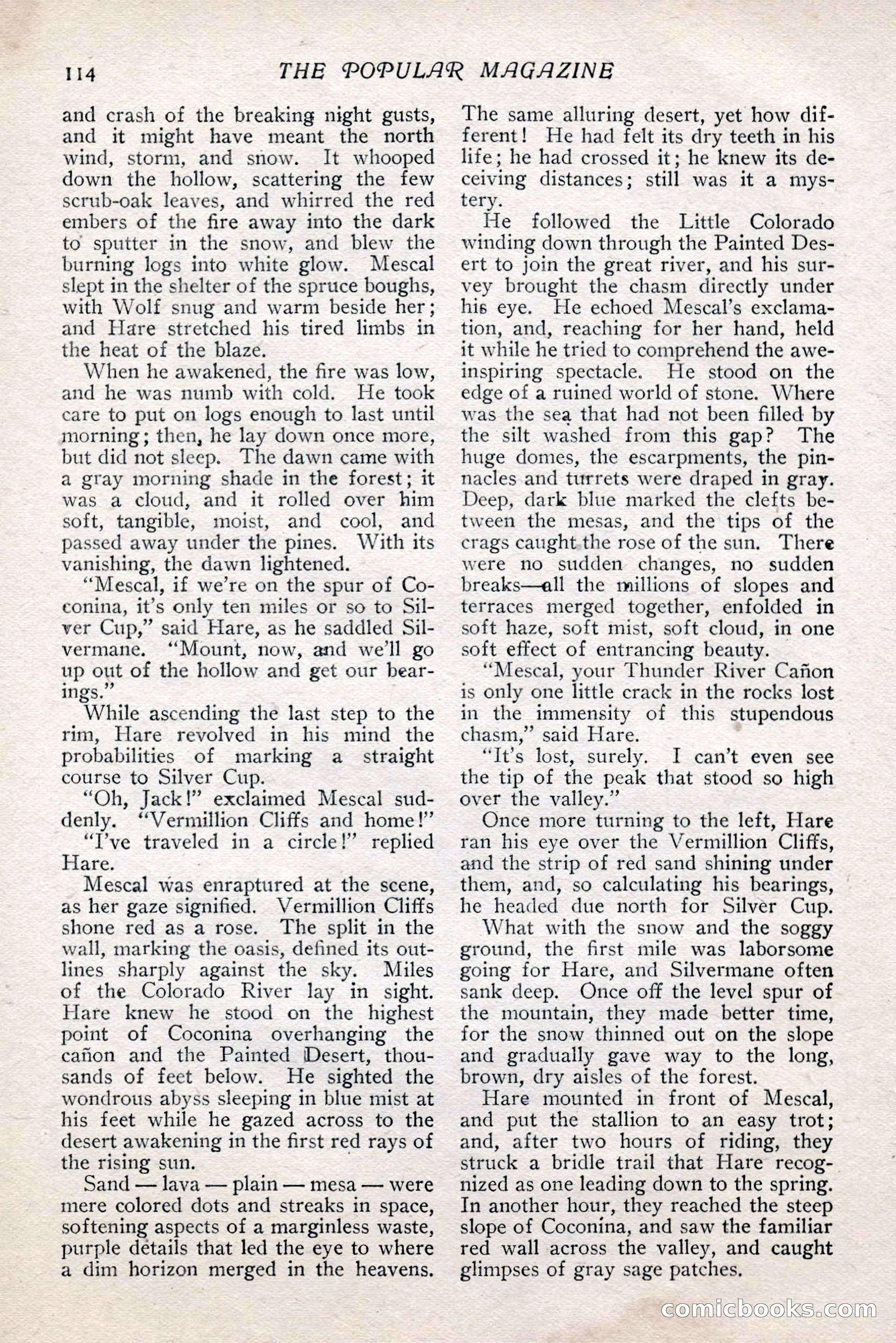 The Popular Magazine — page 120 of 252
