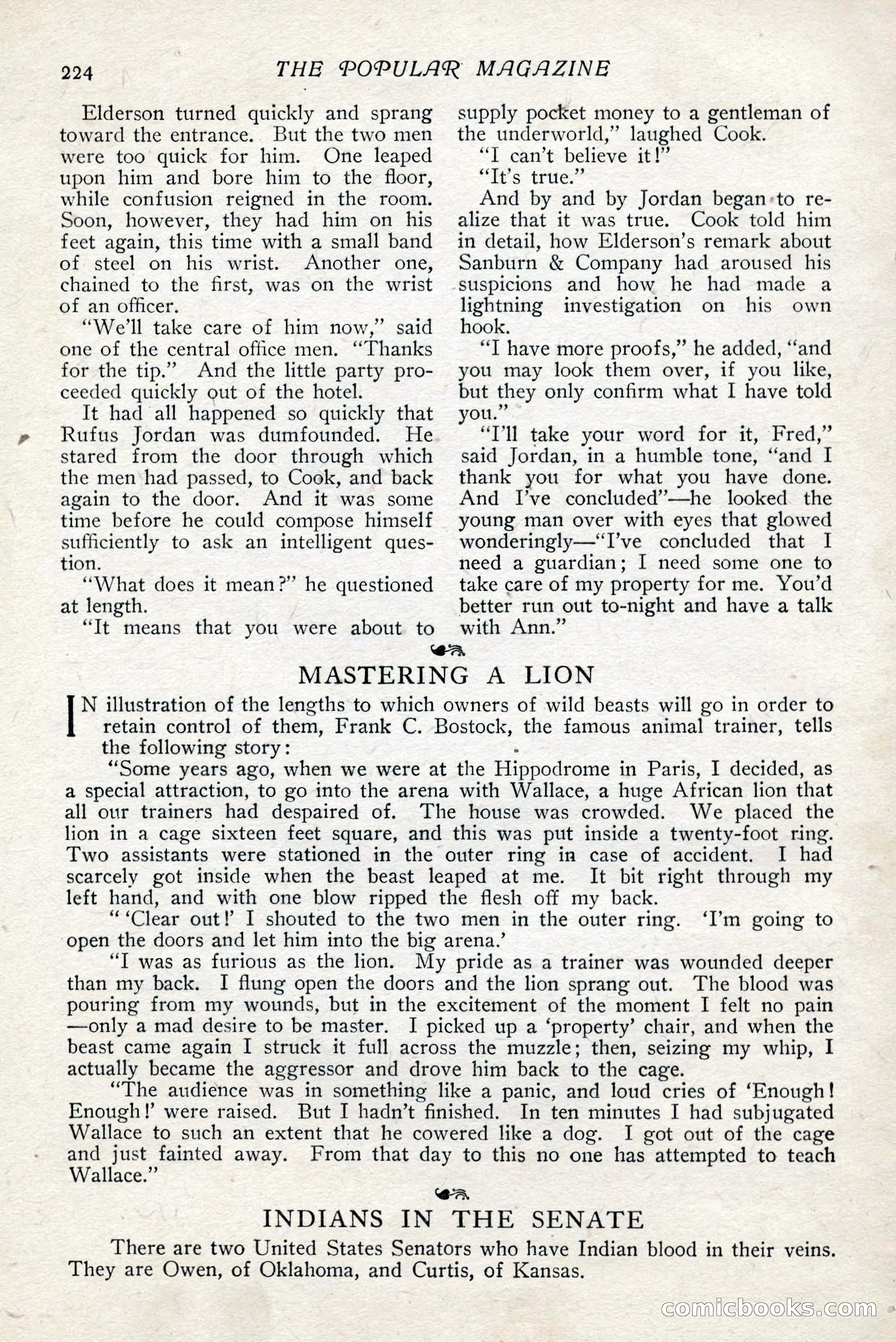 The Popular Magazine — page 230 of 252
