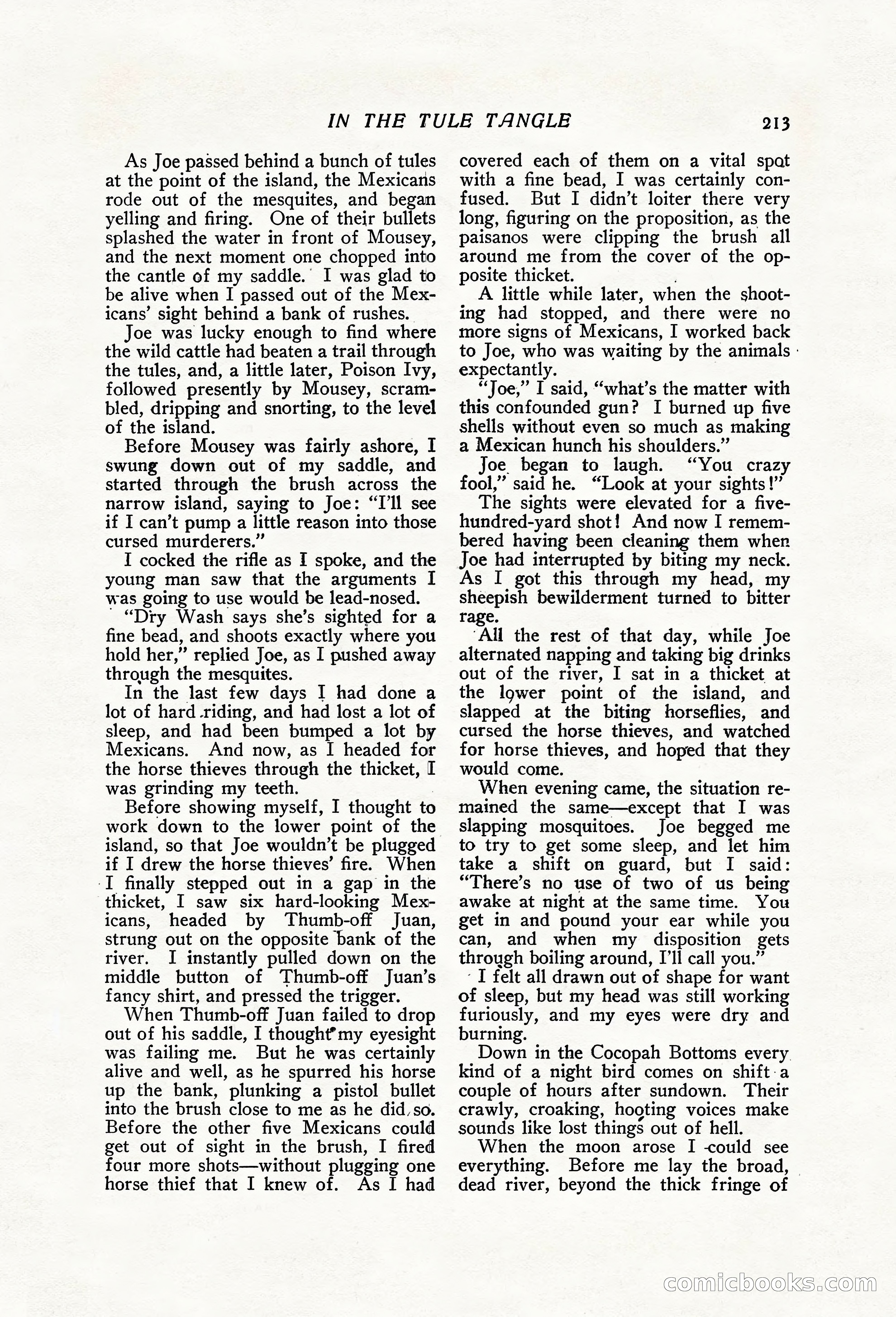 The Popular Magazine, Vol. 31, No. 3 — page 219 of 240