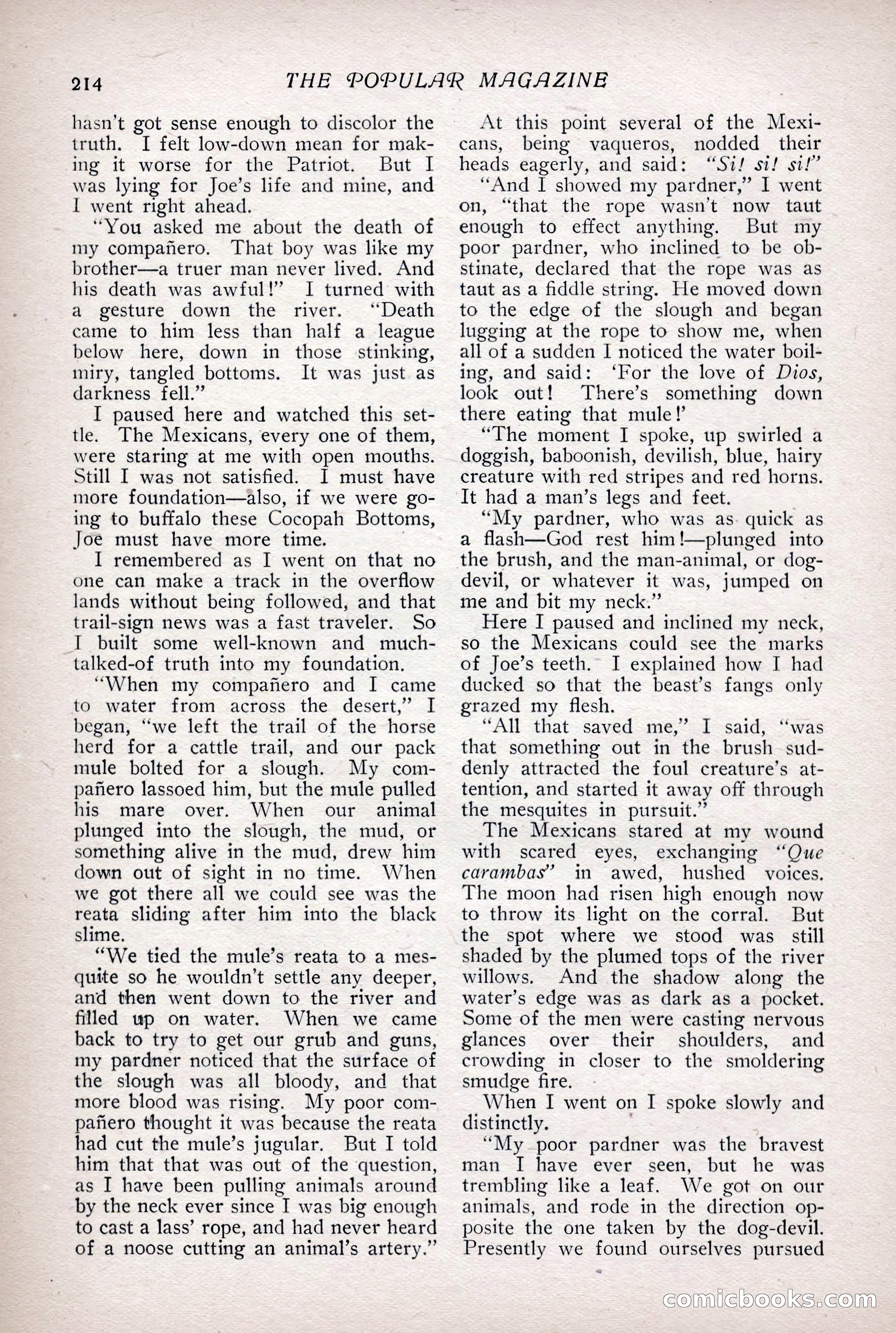 The Popular Magazine, Vol. 31, No. 4 — page 217 of 263