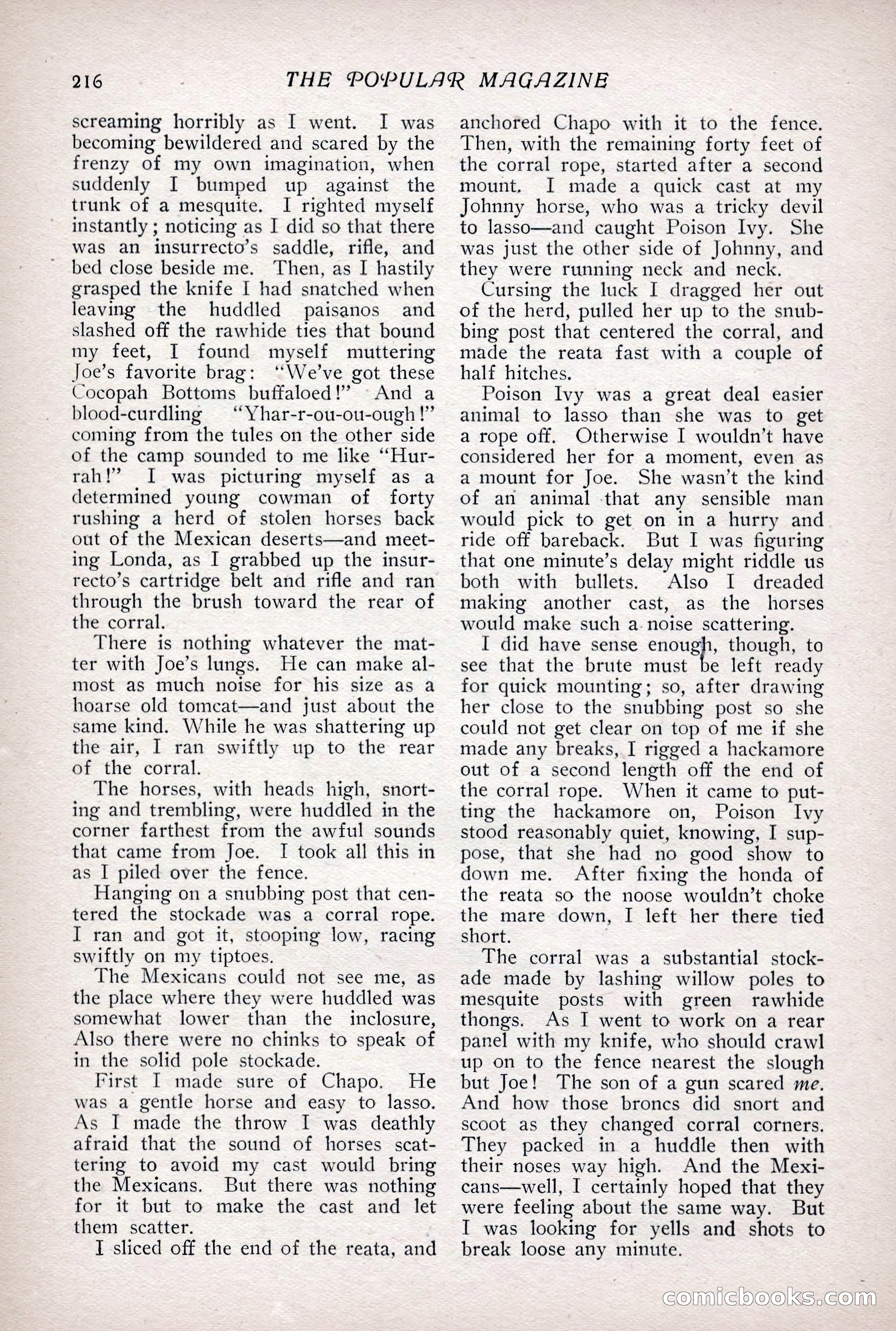 The Popular Magazine, Vol. 31, No. 4 — page 219 of 263