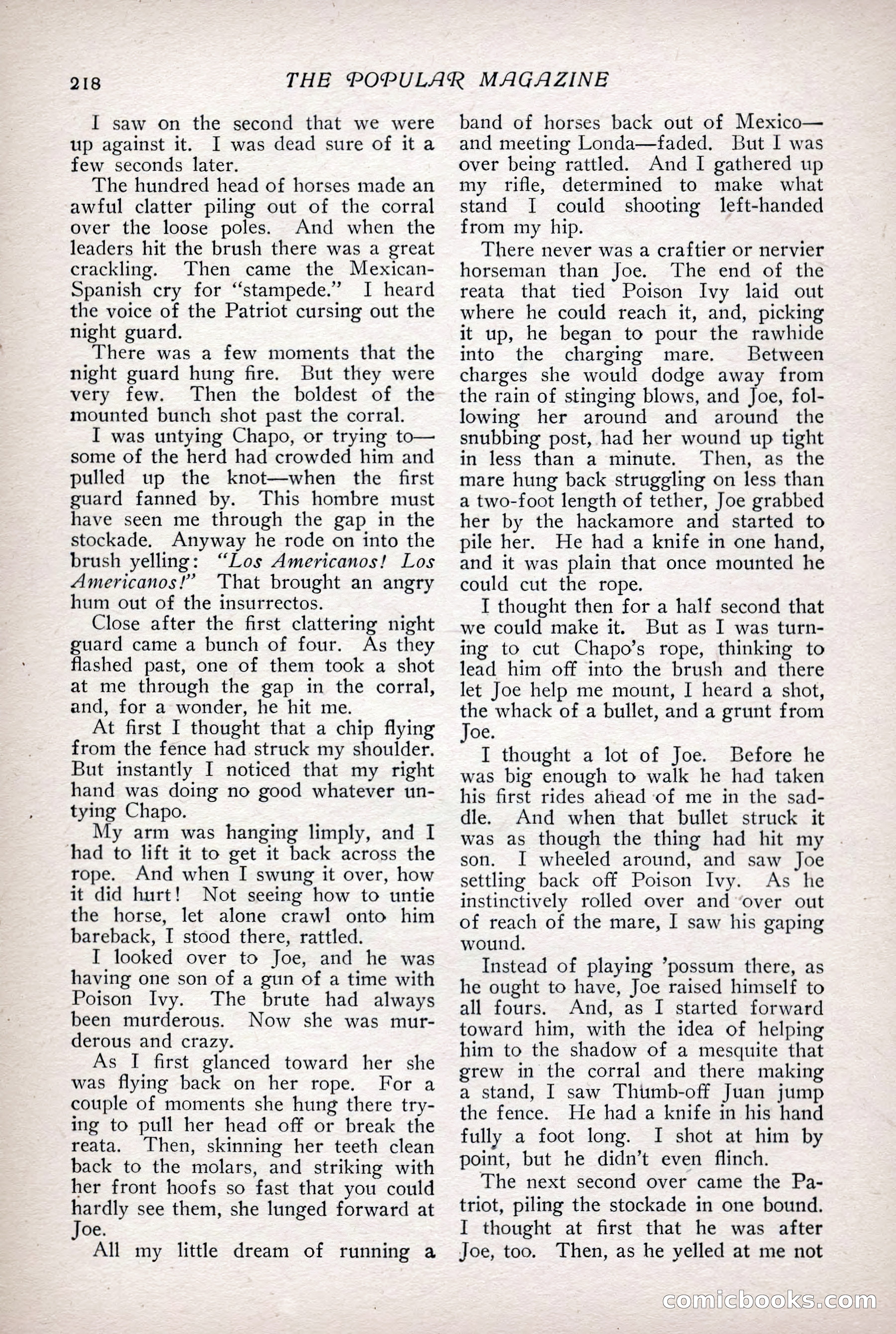 The Popular Magazine, Vol. 31, No. 4 — page 221 of 263