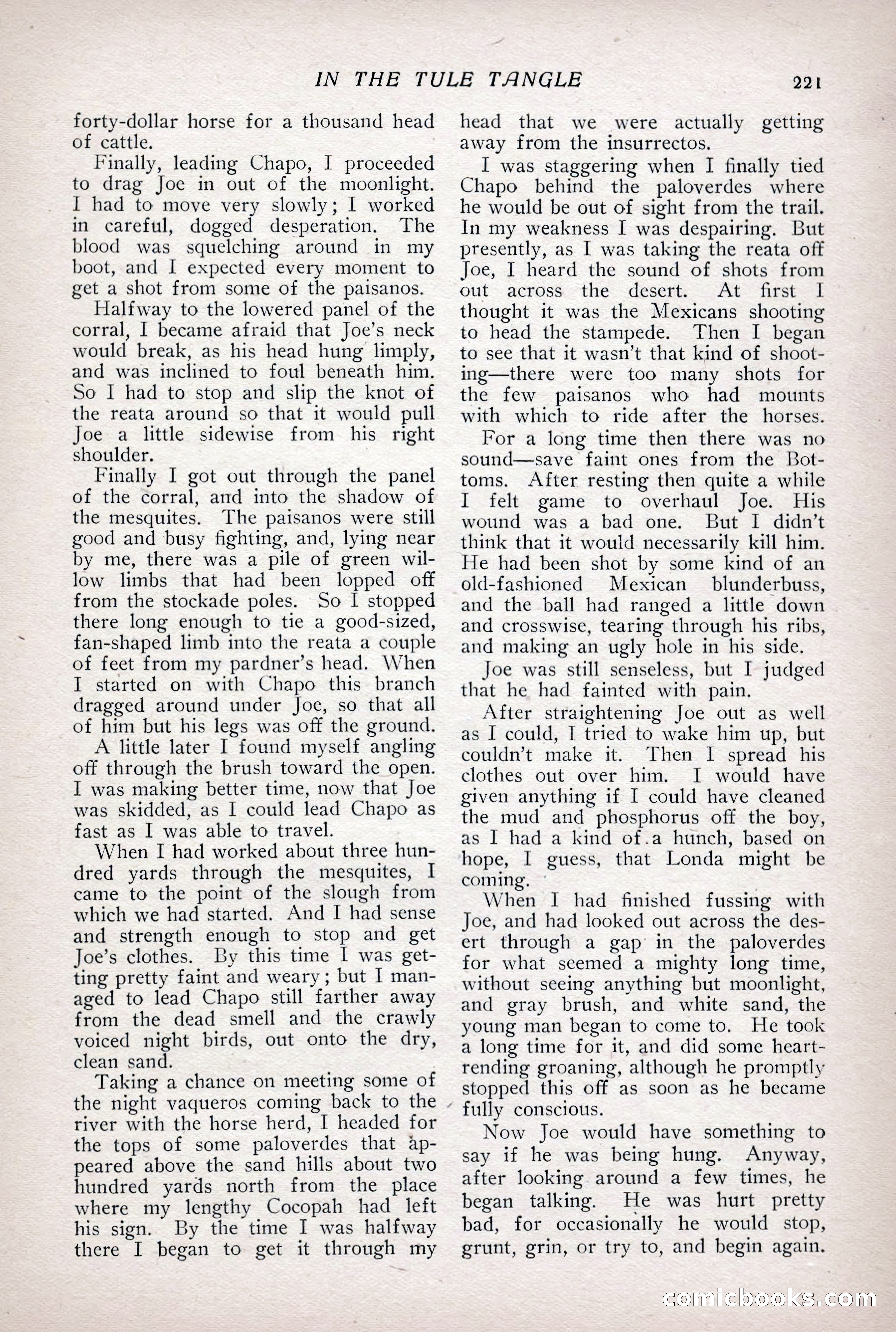 The Popular Magazine, Vol. 31, No. 4 — page 224 of 263