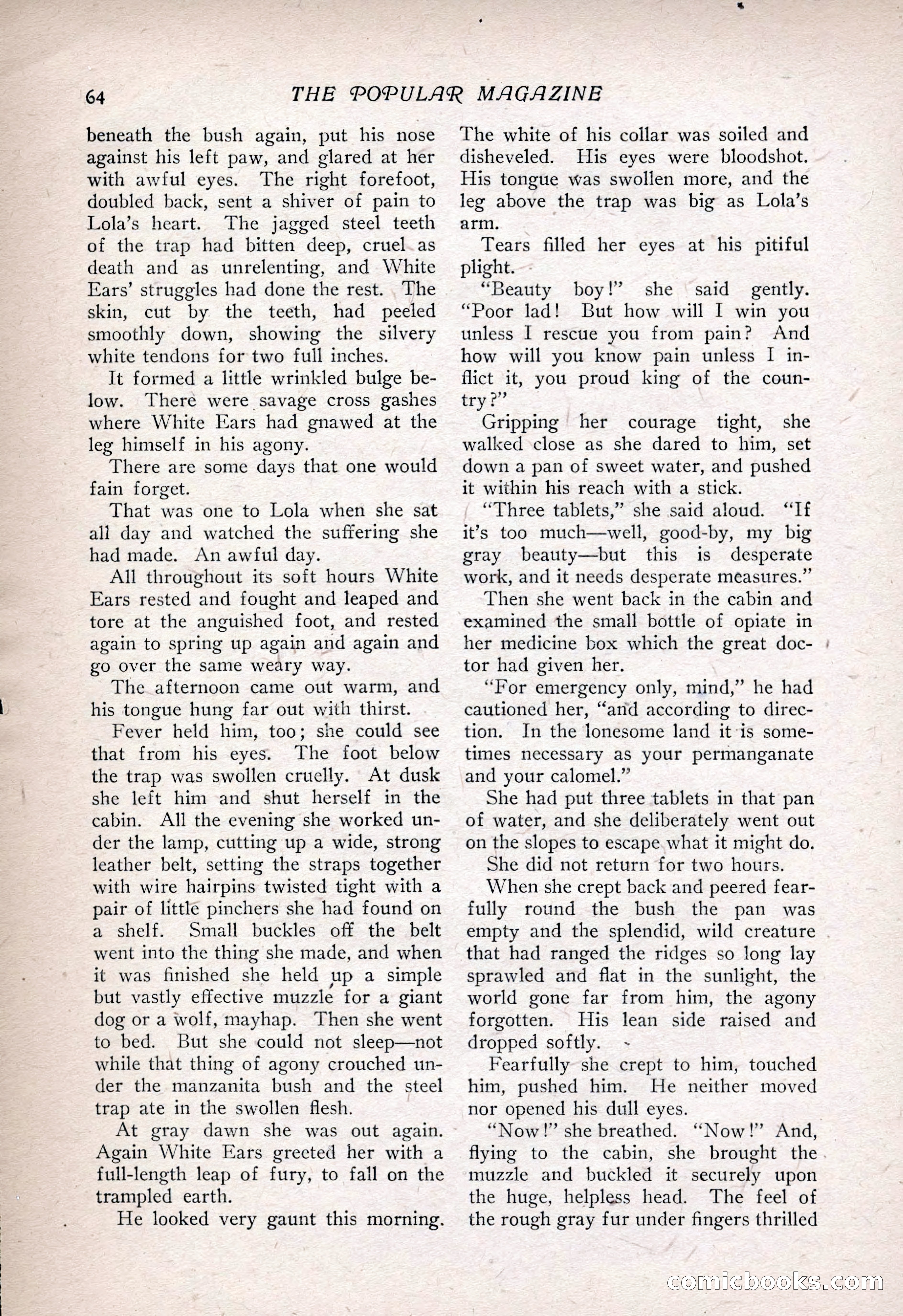 The Popular Magazine, Vol. 35, No. 6 — page 74 of 252