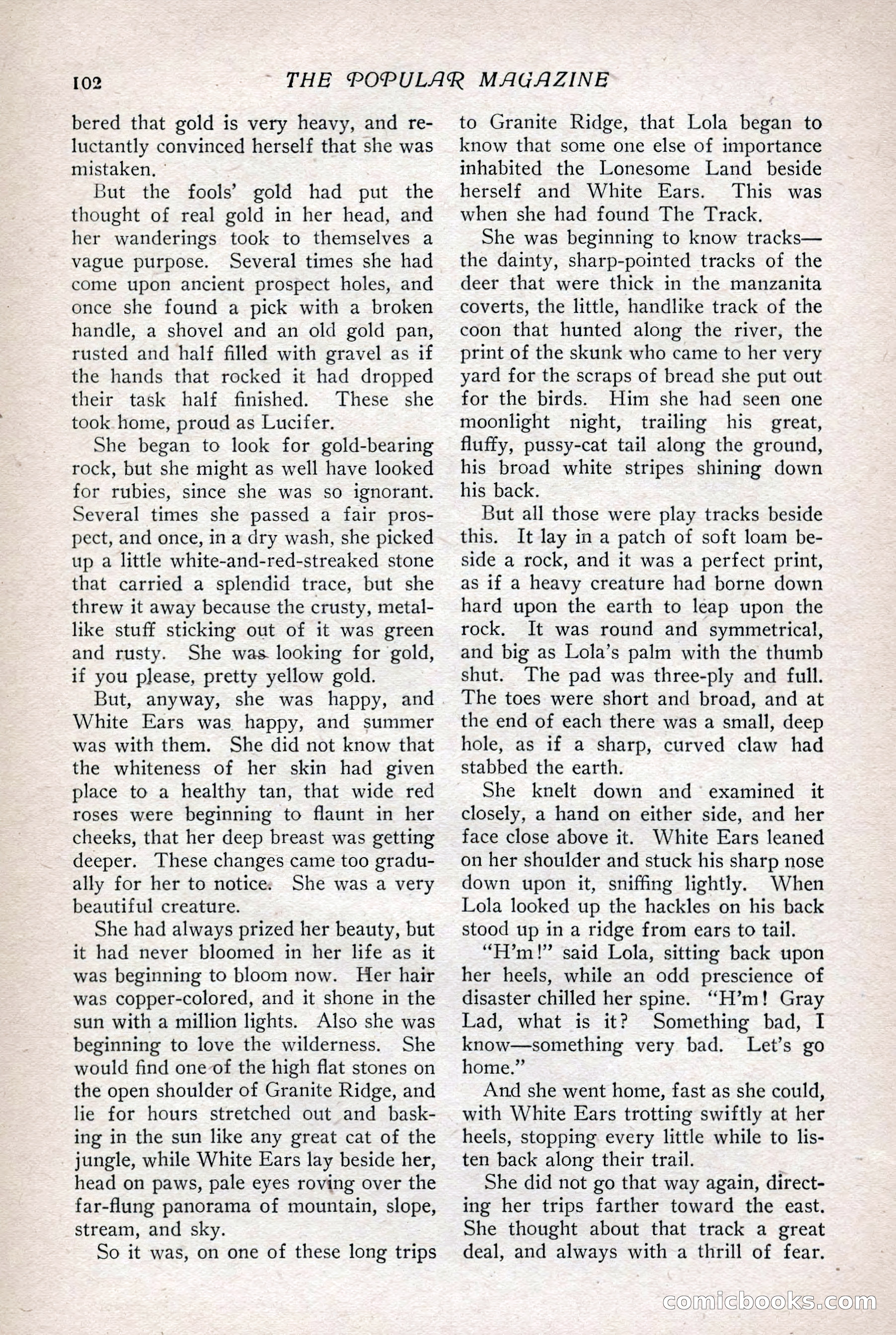 The Popular Magazine, Vol. 36, No. 1 — page 108 of 240