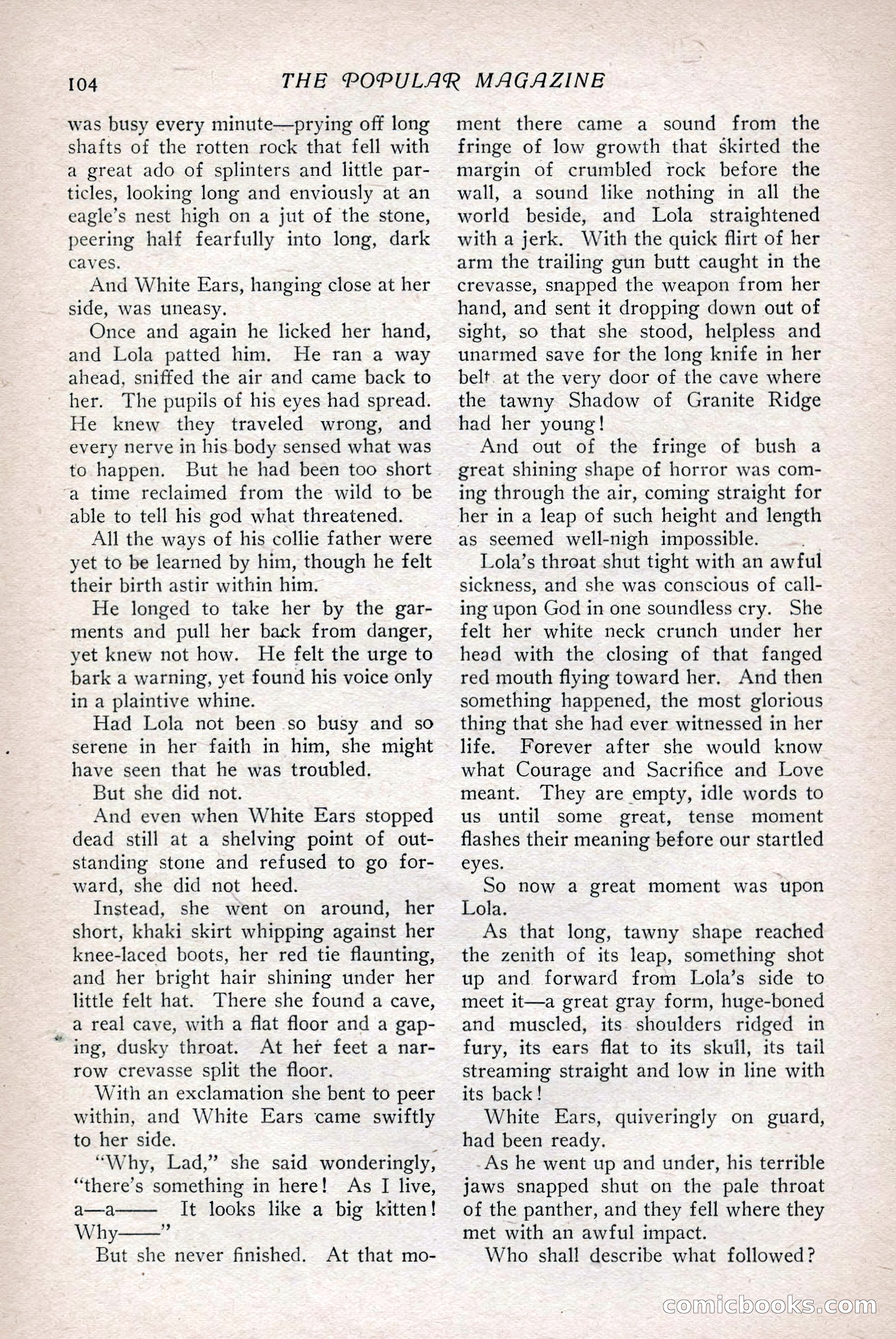 The Popular Magazine, Vol. 36, No. 1 — page 110 of 240