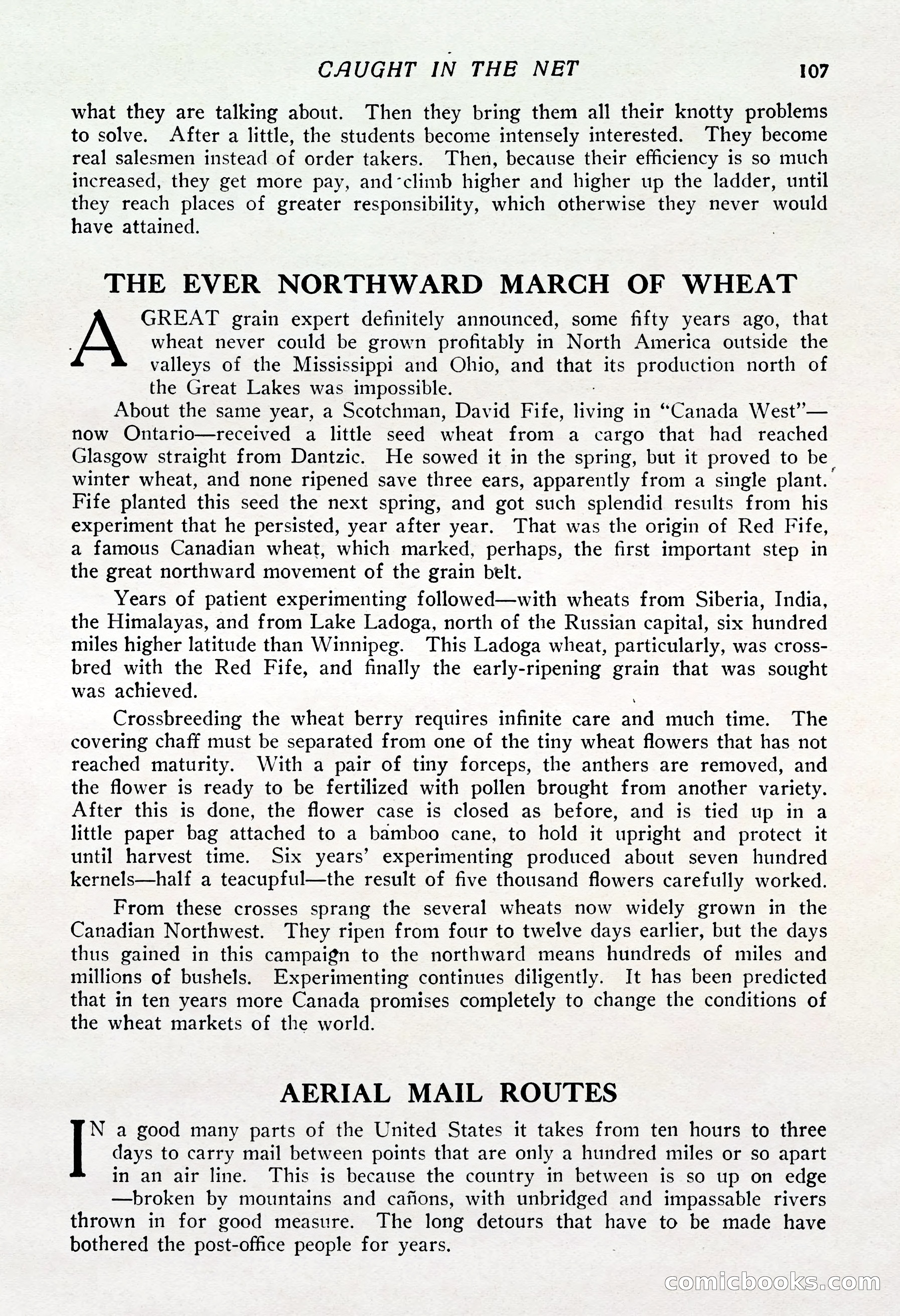 The Popular Magazine, Vol. 37, No. 6 — page 113 of 250