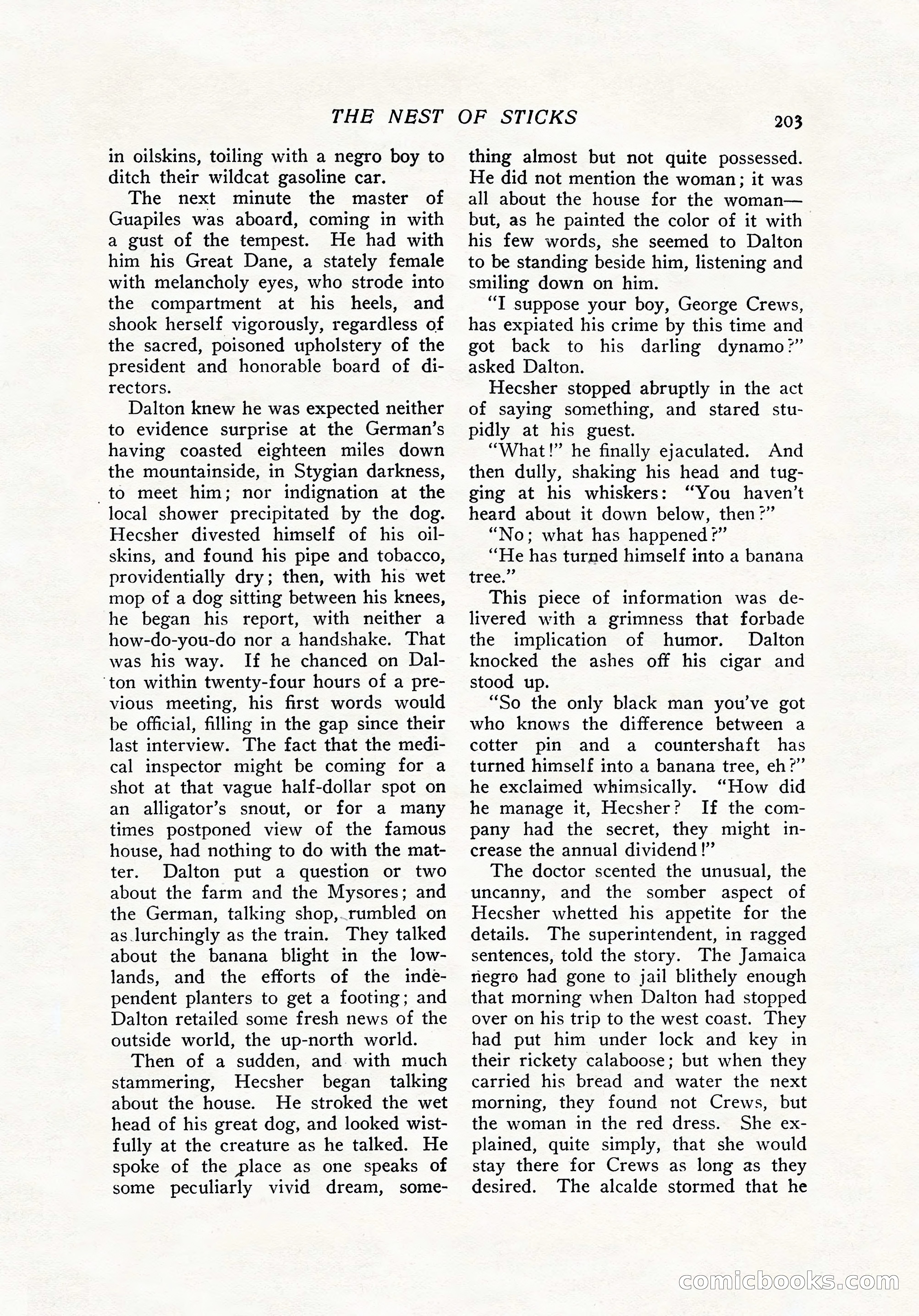 The Popular Magazine, December 7, 1916 — page 209 of 232
