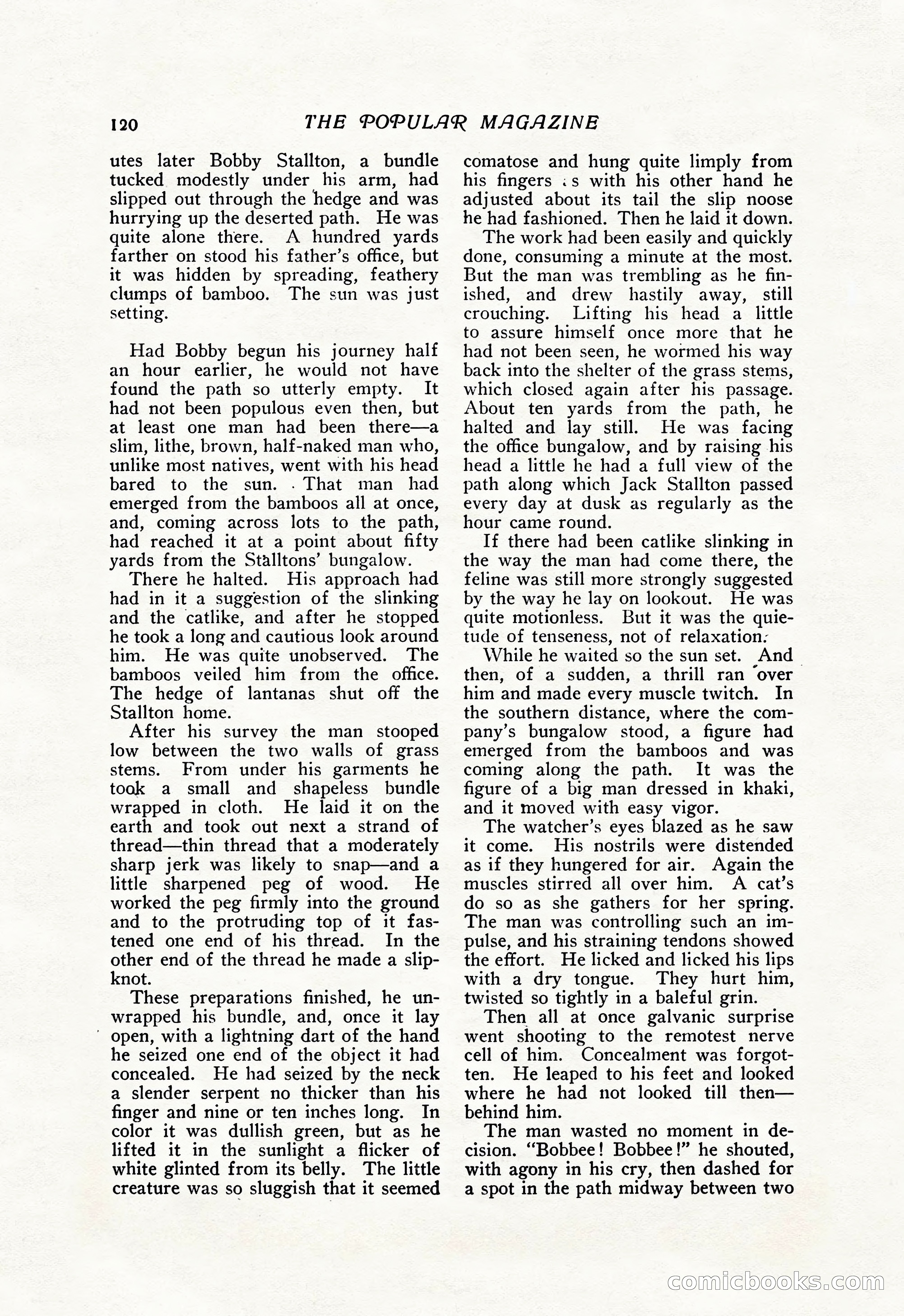 The Popular Magazine — page 126 of 240