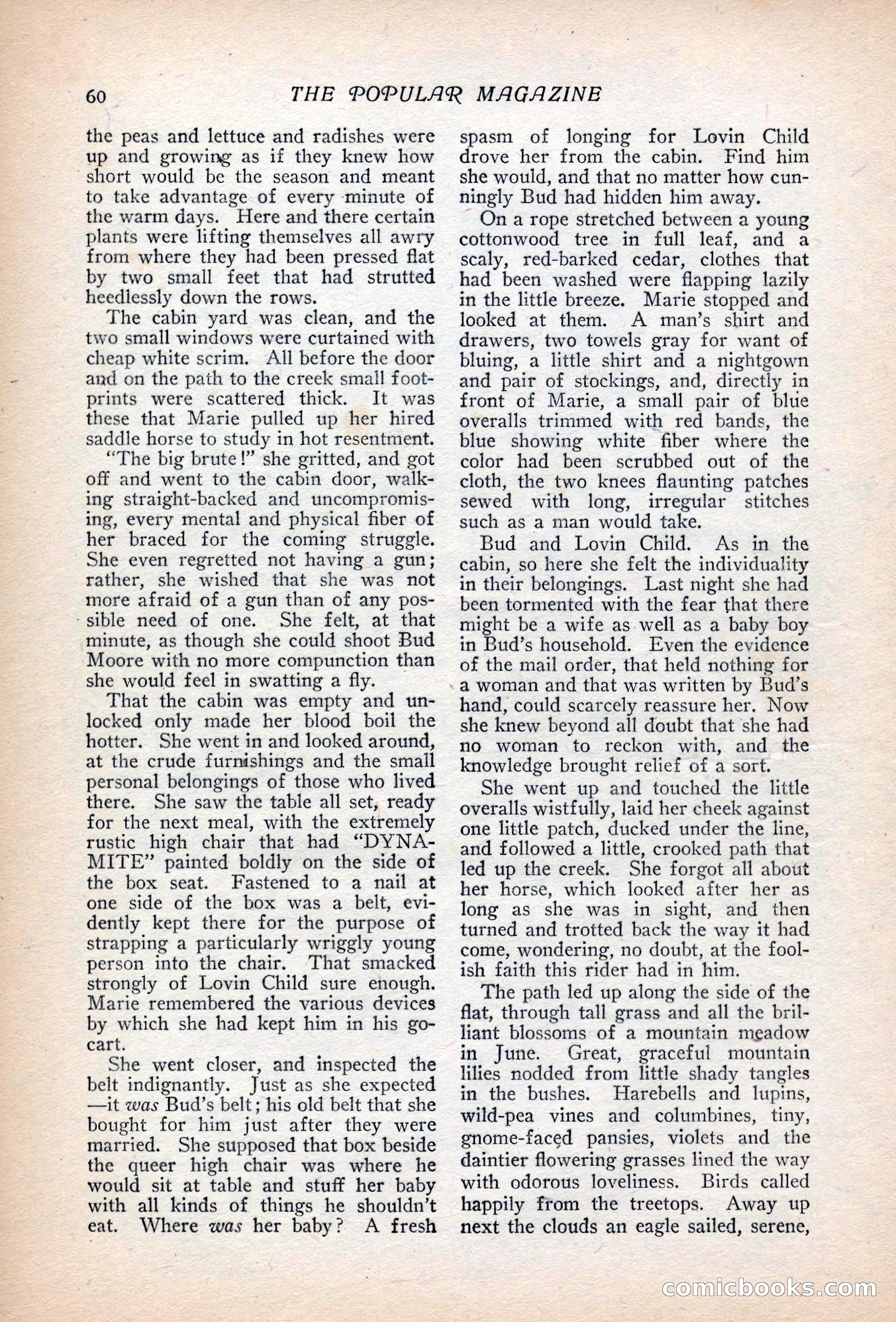 Popular Magazine, August 20, 1917 — page 67 of 231