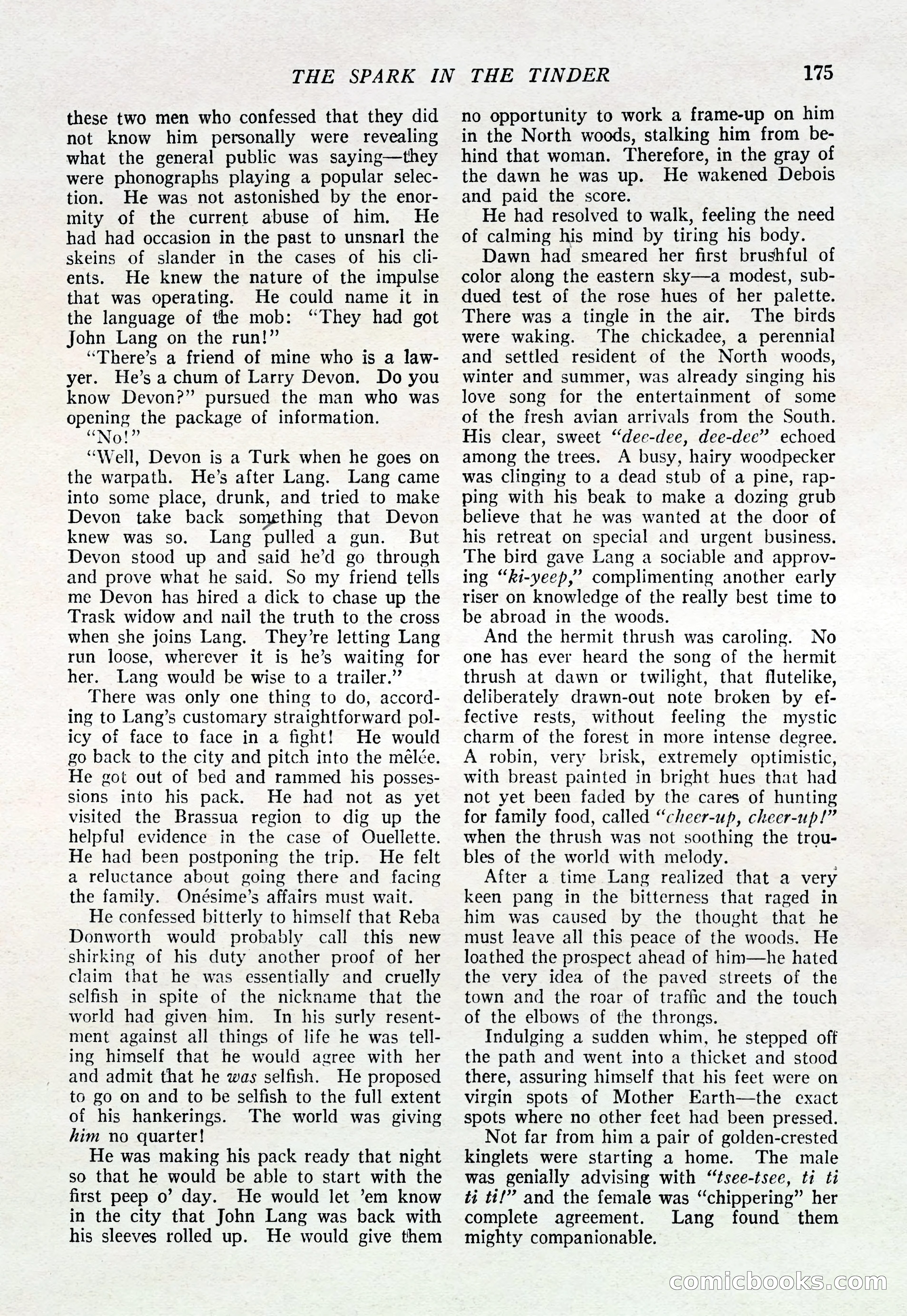 The Popular Magazine — page 177 of 196