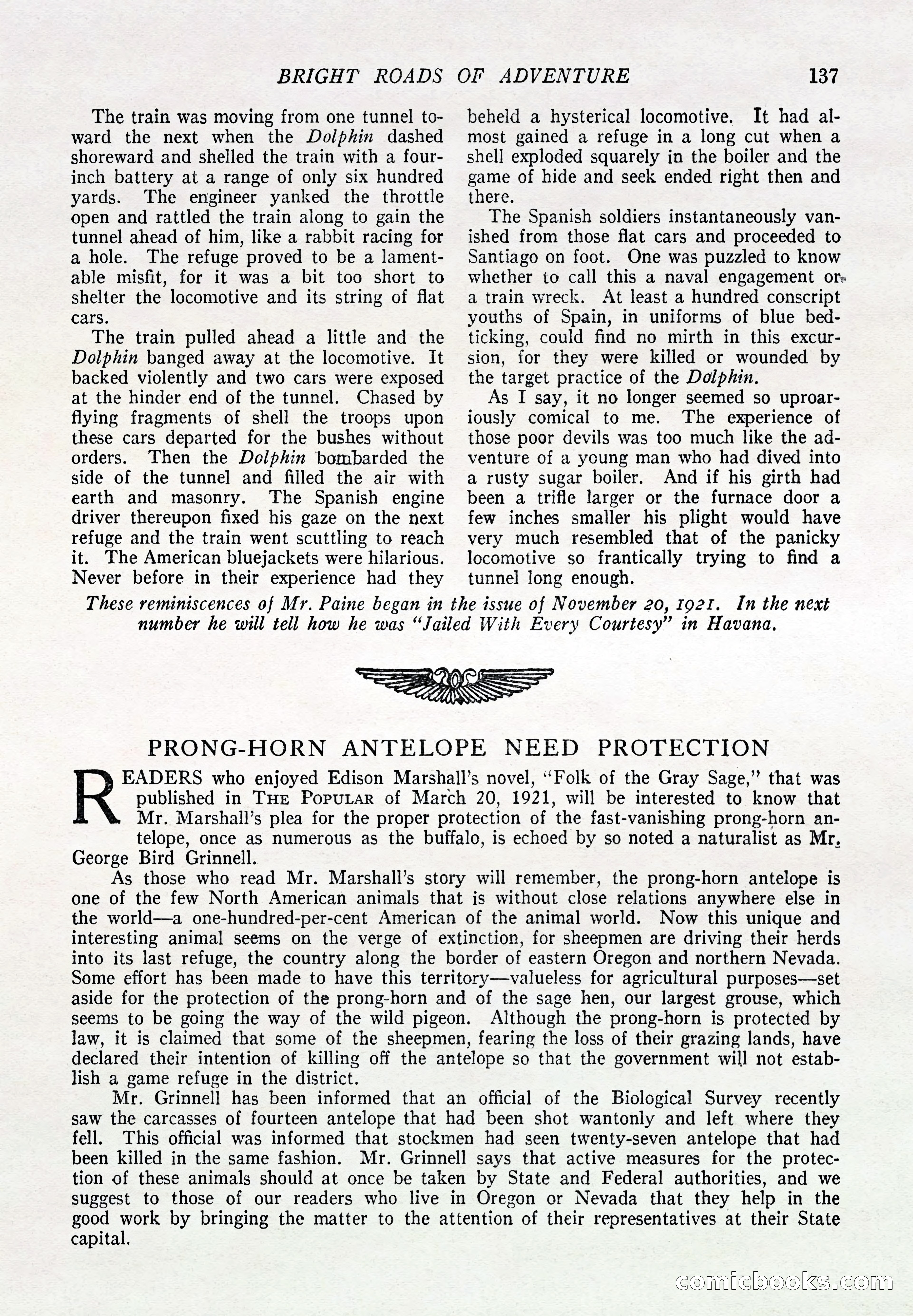 The Popular Magazine, March 20, 1922 — page 139 of 196